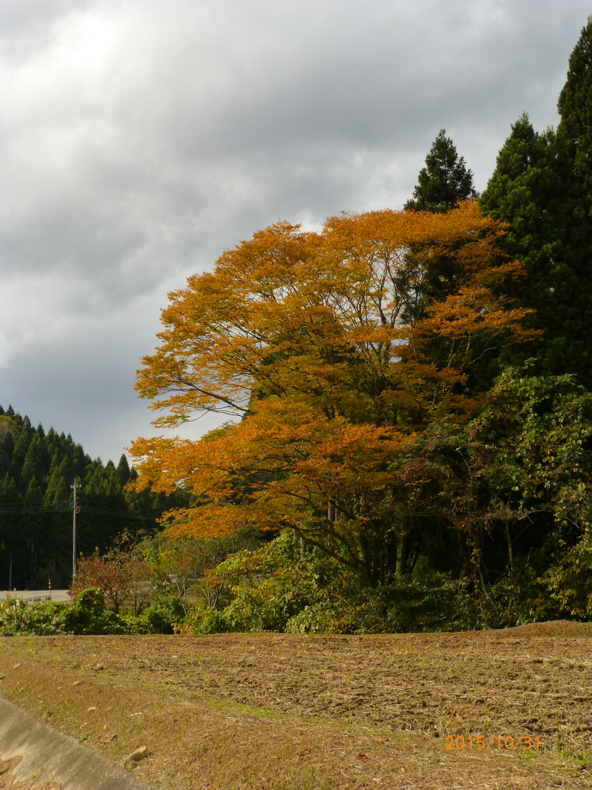f:id:k10no3:20151031131909j:image:w279
