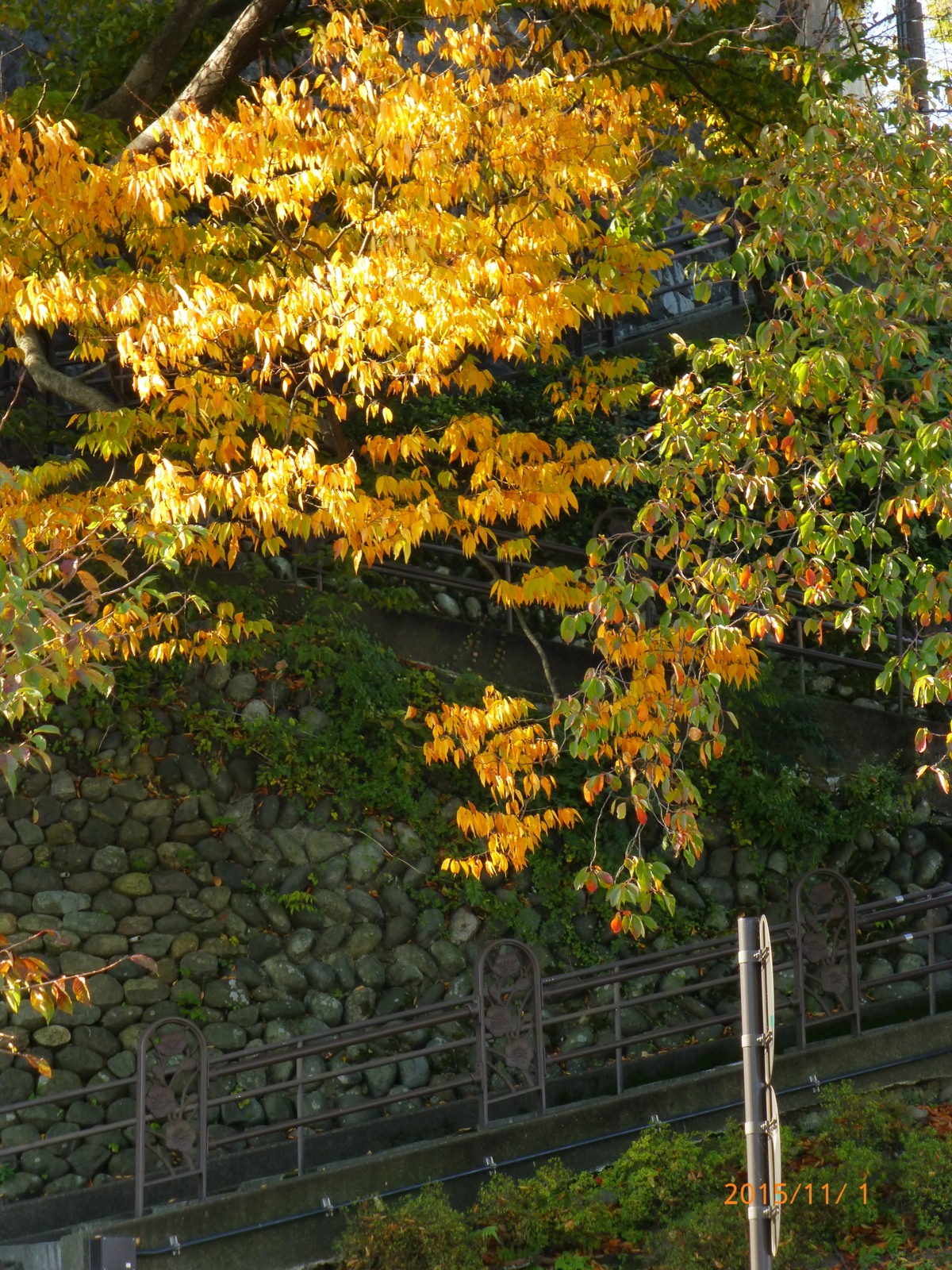 f:id:k10no3:20151101092720j:image:w279