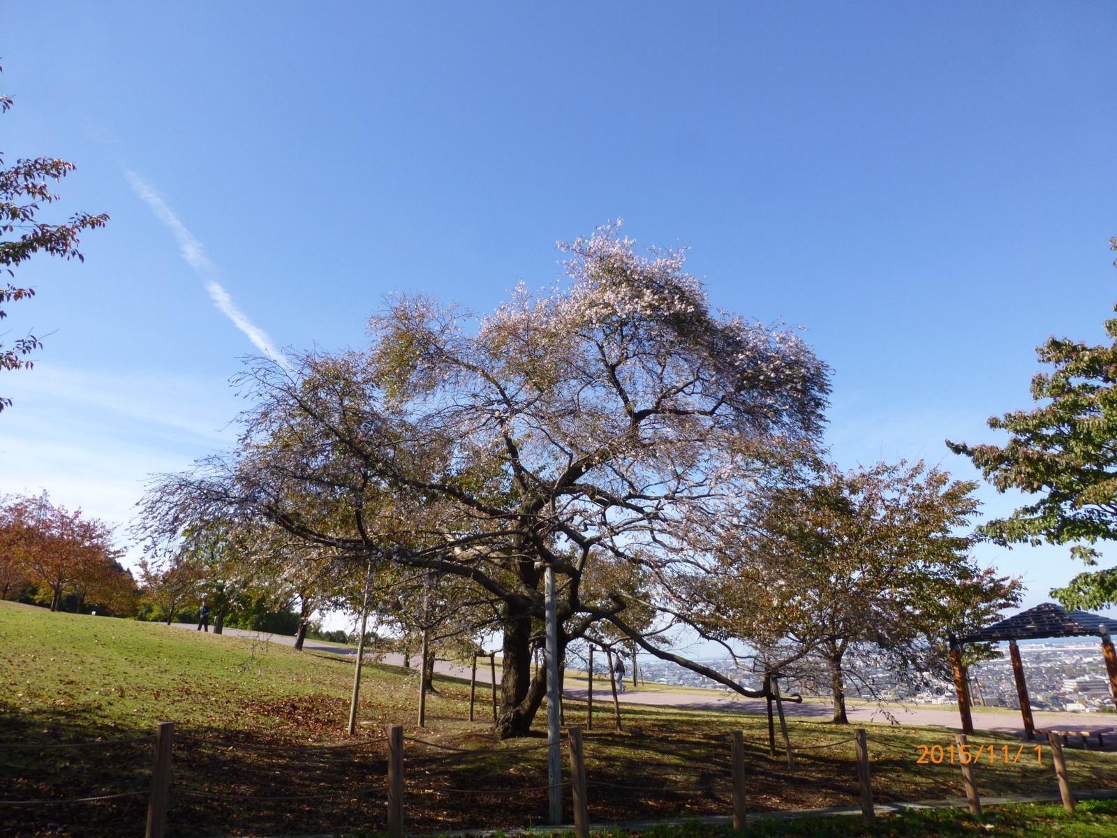 f:id:k10no3:20151101104510j:image:w640 f:id:k10no3:20151101104510j:image:w640