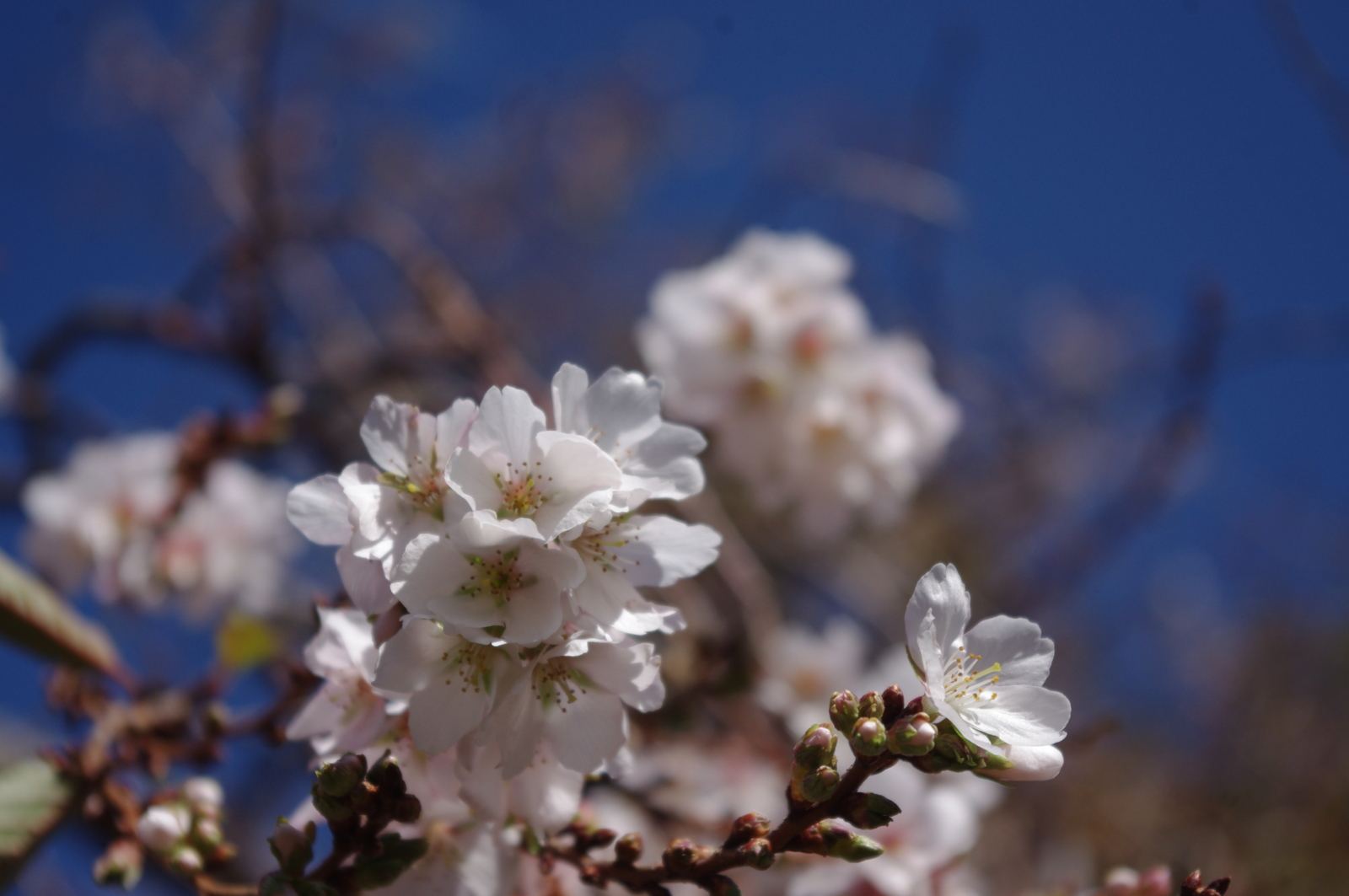 f:id:k10no3:20151101105203j:image:w560