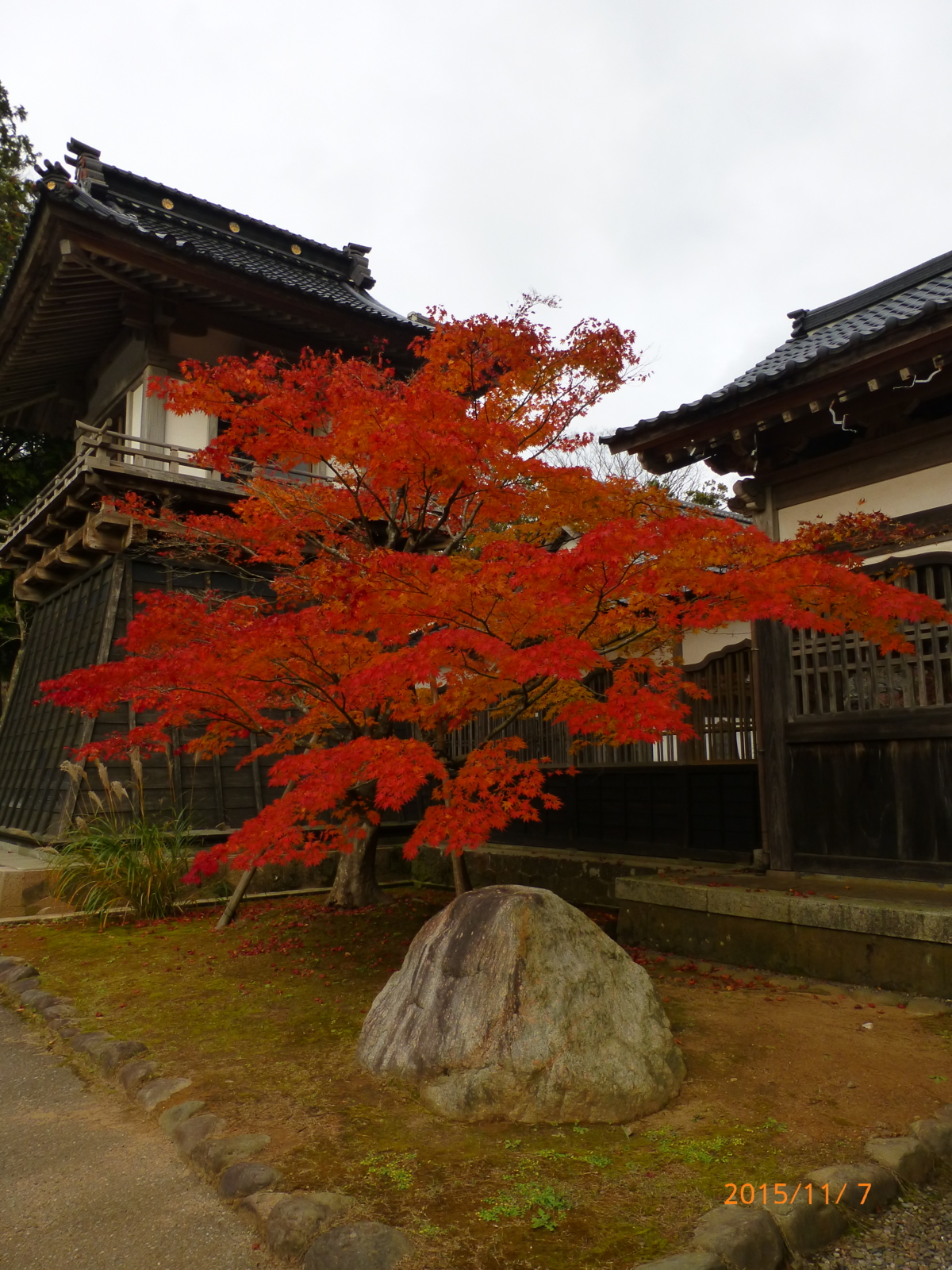 f:id:k10no3:20151107150029j:image:w279 f:id:k10no3:20151107150029j:image:w279