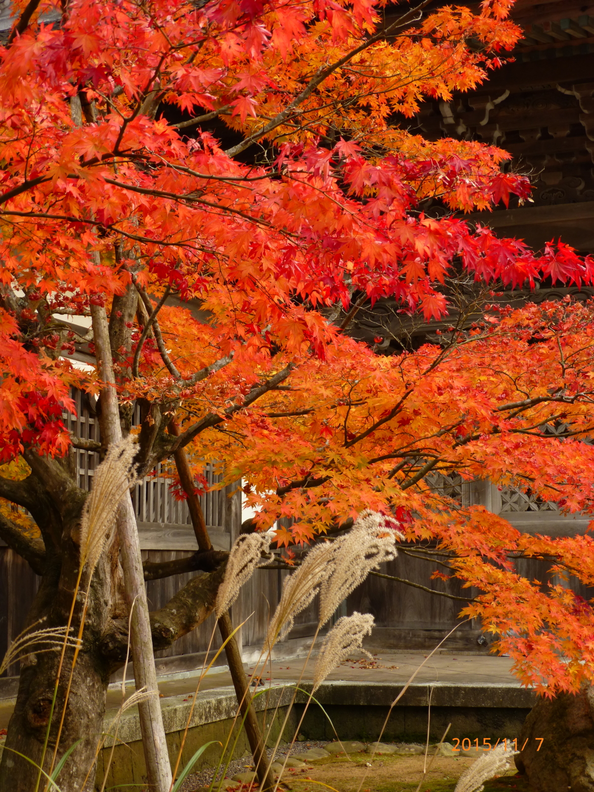 f:id:k10no3:20151107150209j:image:w279 f:id:k10no3:20151107150209j:image:w279