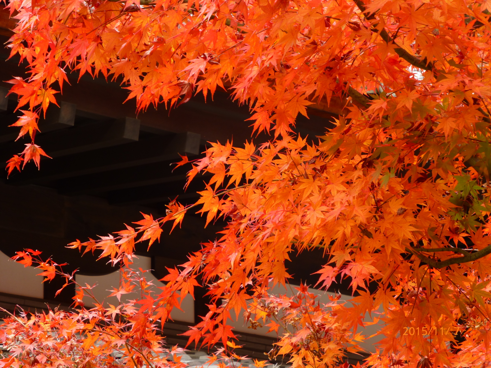 f:id:k10no3:20151107150557j:image:w560 f:id:k10no3:20151107150557j:image:w560
