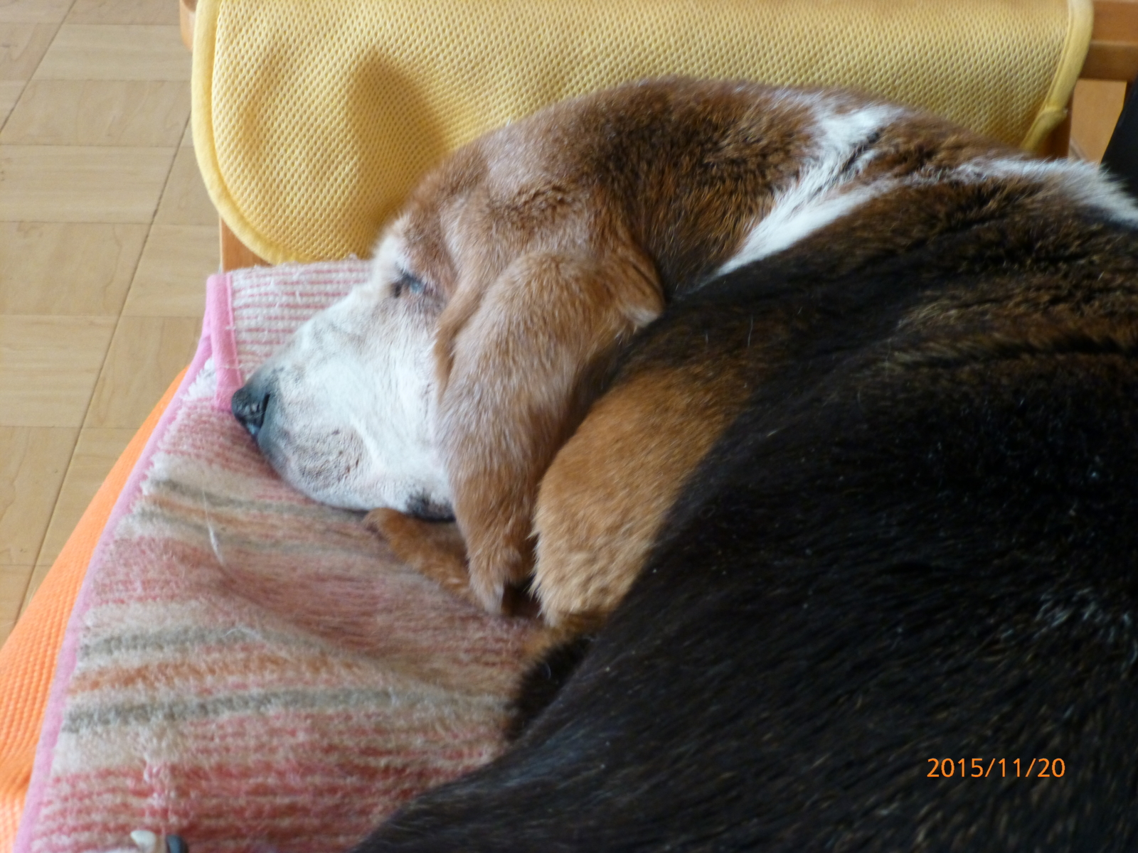 f:id:k10no3:20151120153853j:image:w640 f:id:k10no3:20151120153853j:image:w640