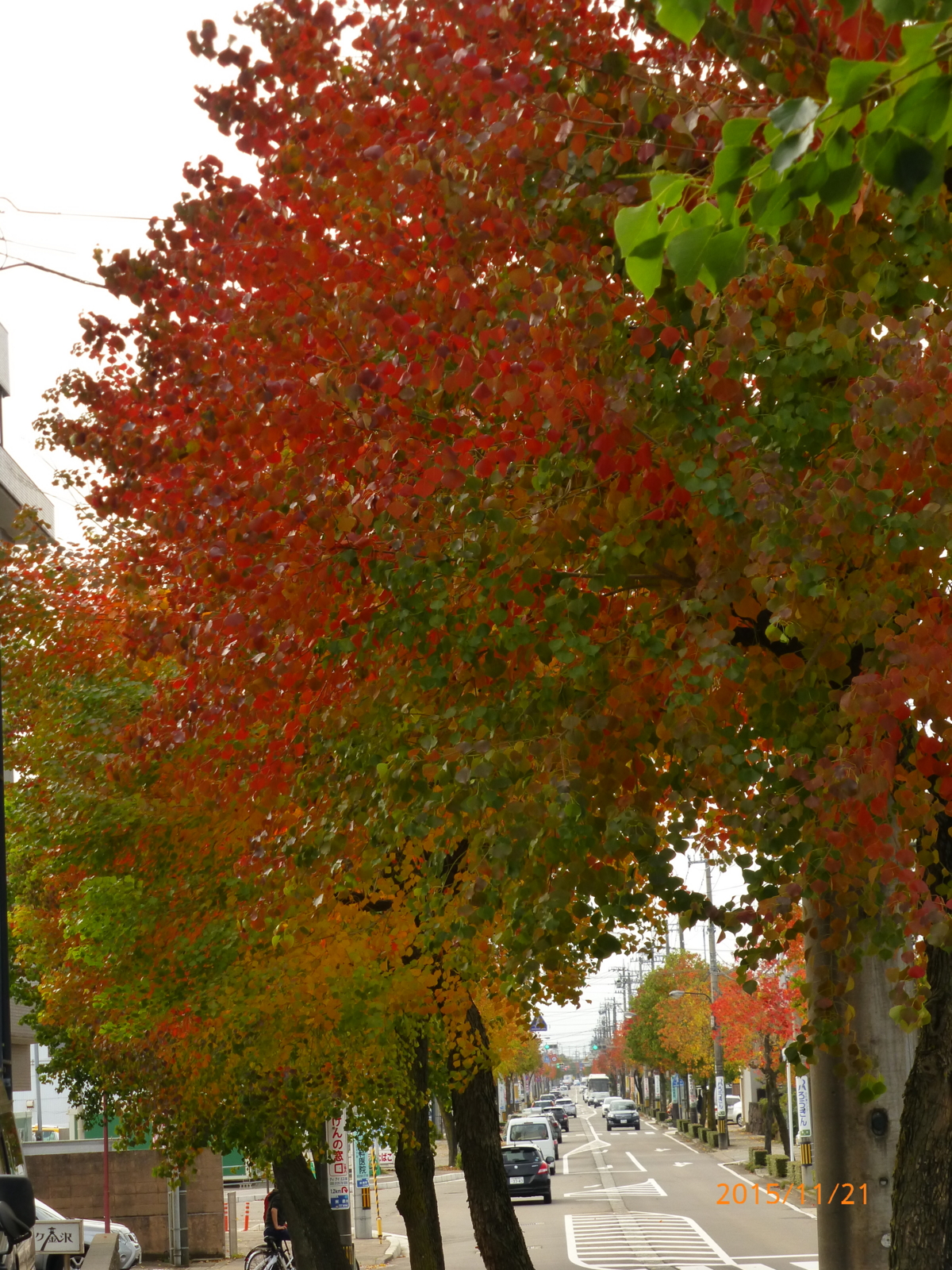 f:id:k10no3:20151121114021j:image:w279