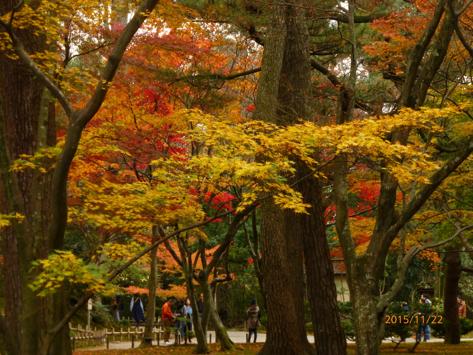 f:id:k10no3:20151122104549j:image:w560