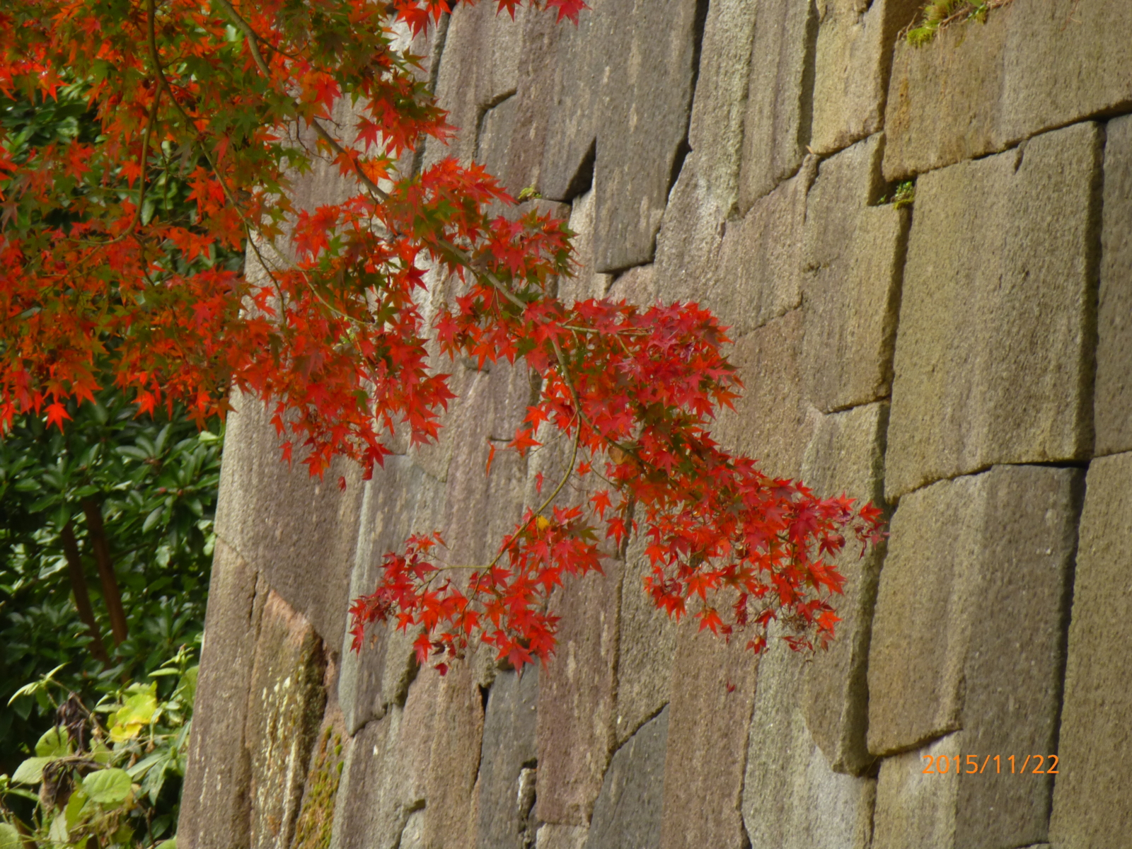 f:id:k10no3:20151122112241j:image:w560