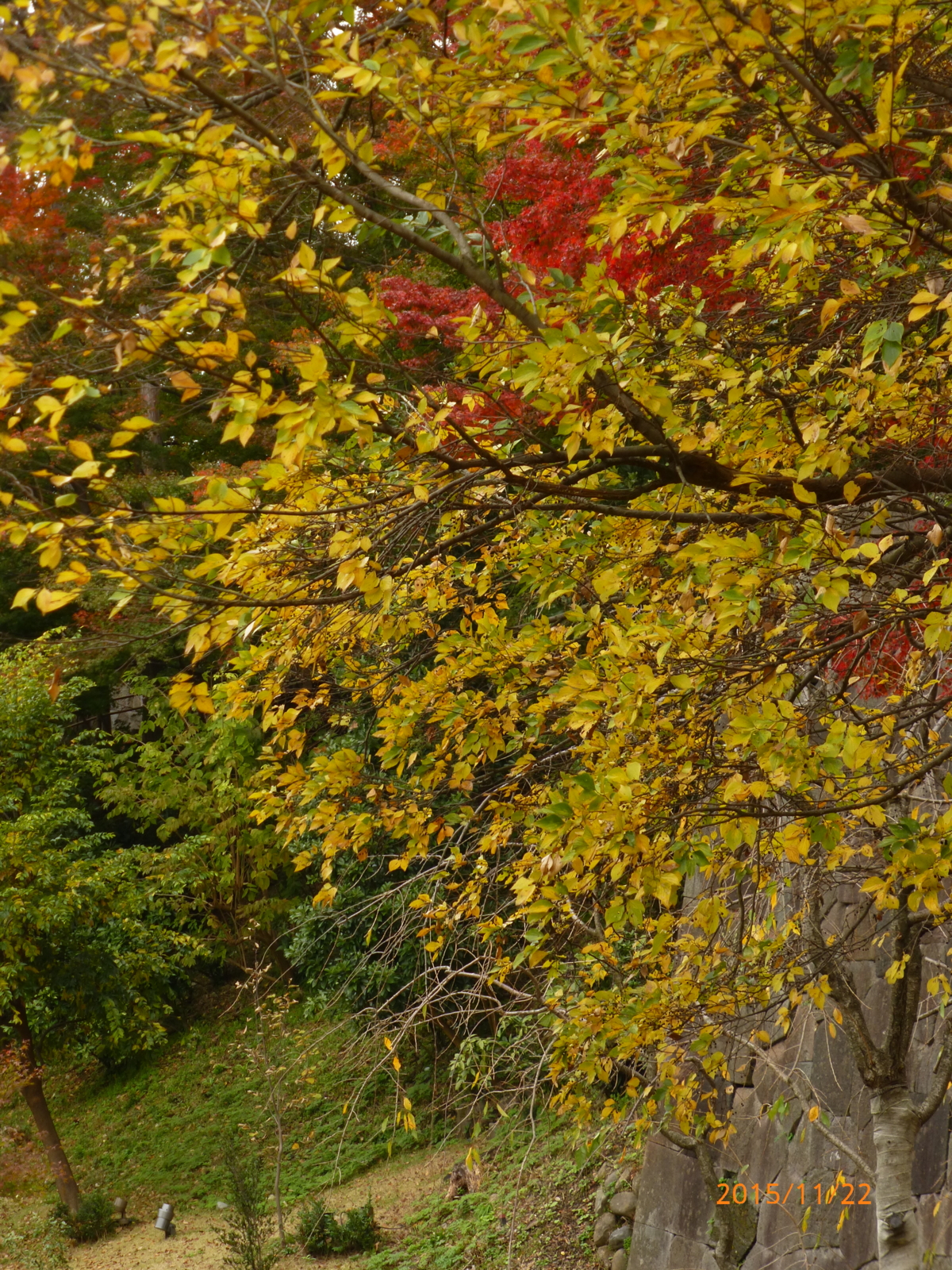 f:id:k10no3:20151122112309j:image:w279 f:id:k10no3:20151122112309j:image:w279