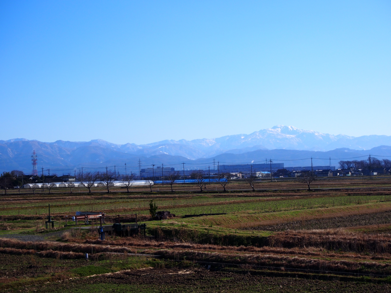 f:id:k10no3:20151220125822j:image:w318