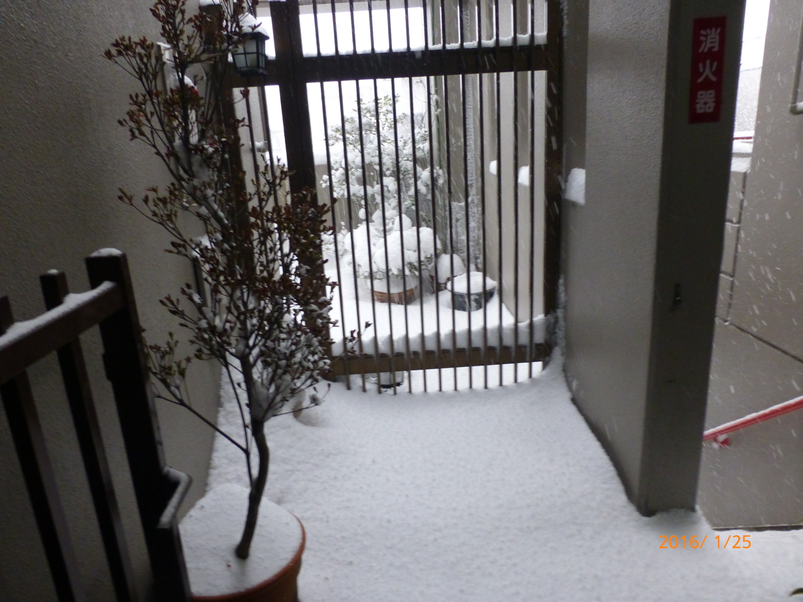 f:id:k10no3:20160125074425j:image:w640