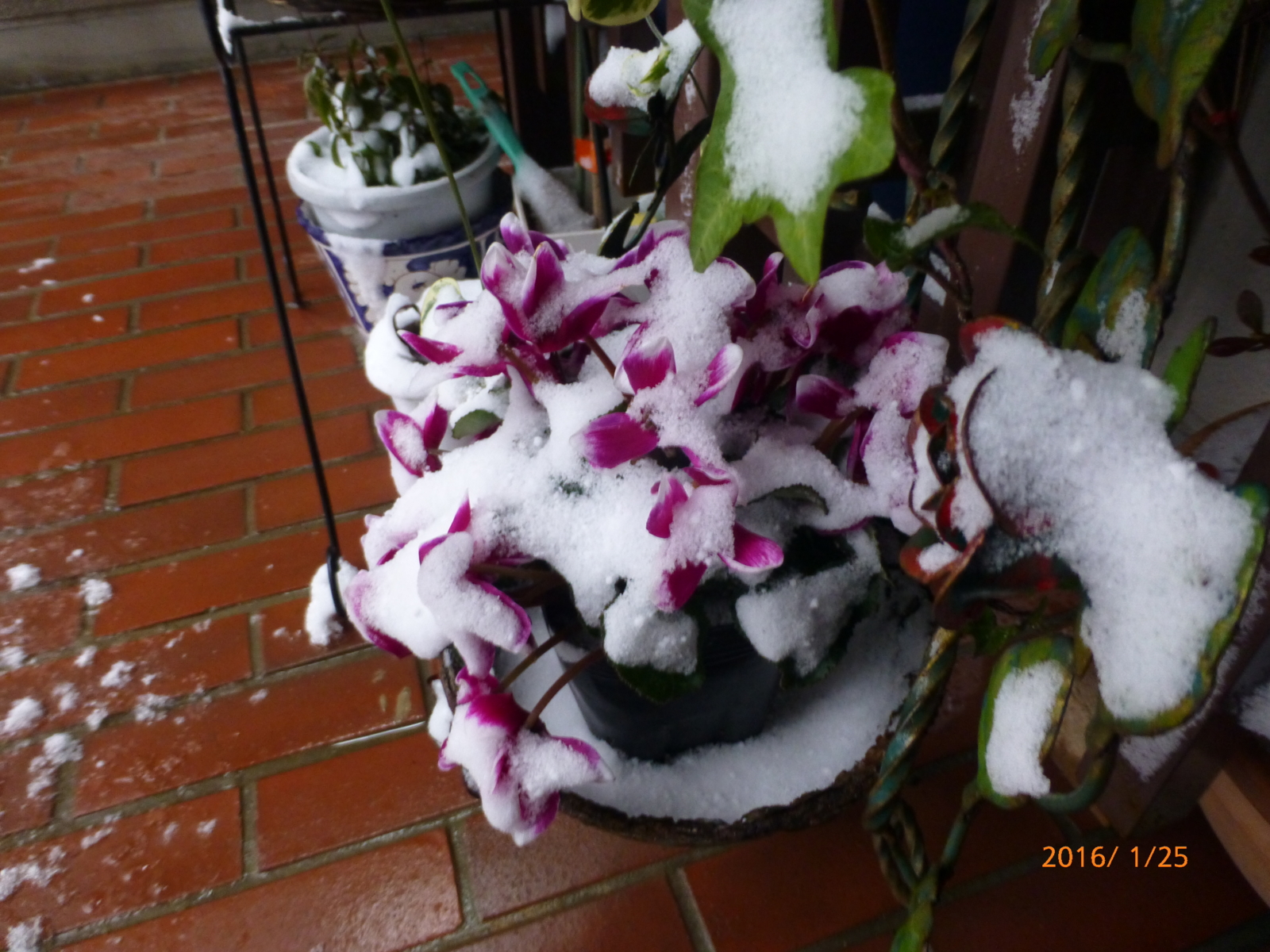 f:id:k10no3:20160125074439j:image:w640