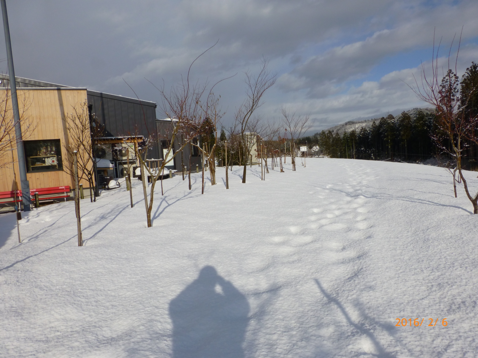 f:id:k10no3:20160206084645j:image:w640