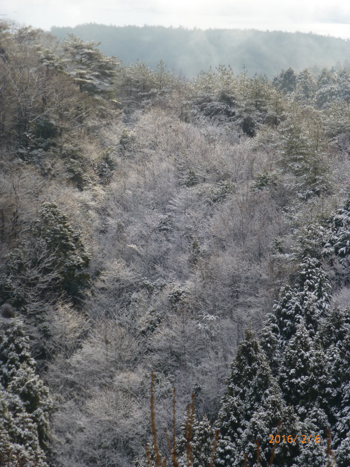 f:id:k10no3:20160206085104j:image:w318