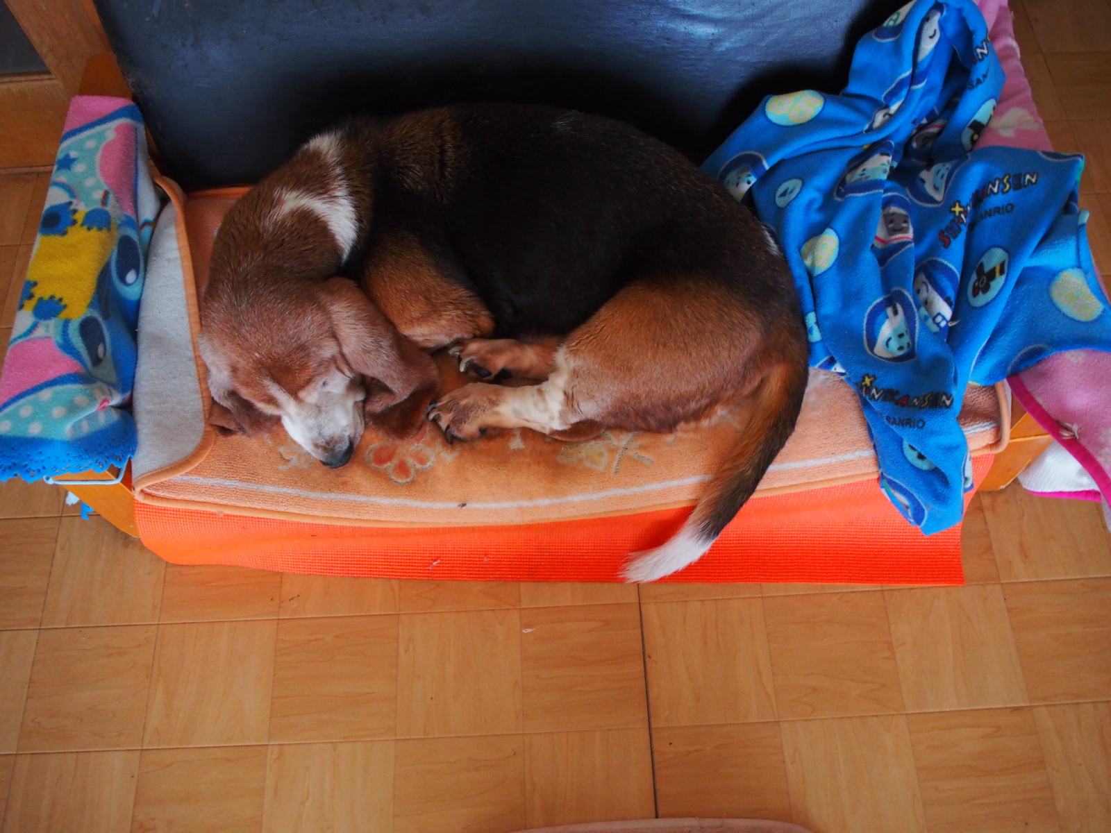 f:id:k10no3:20160207165417j:image:w640