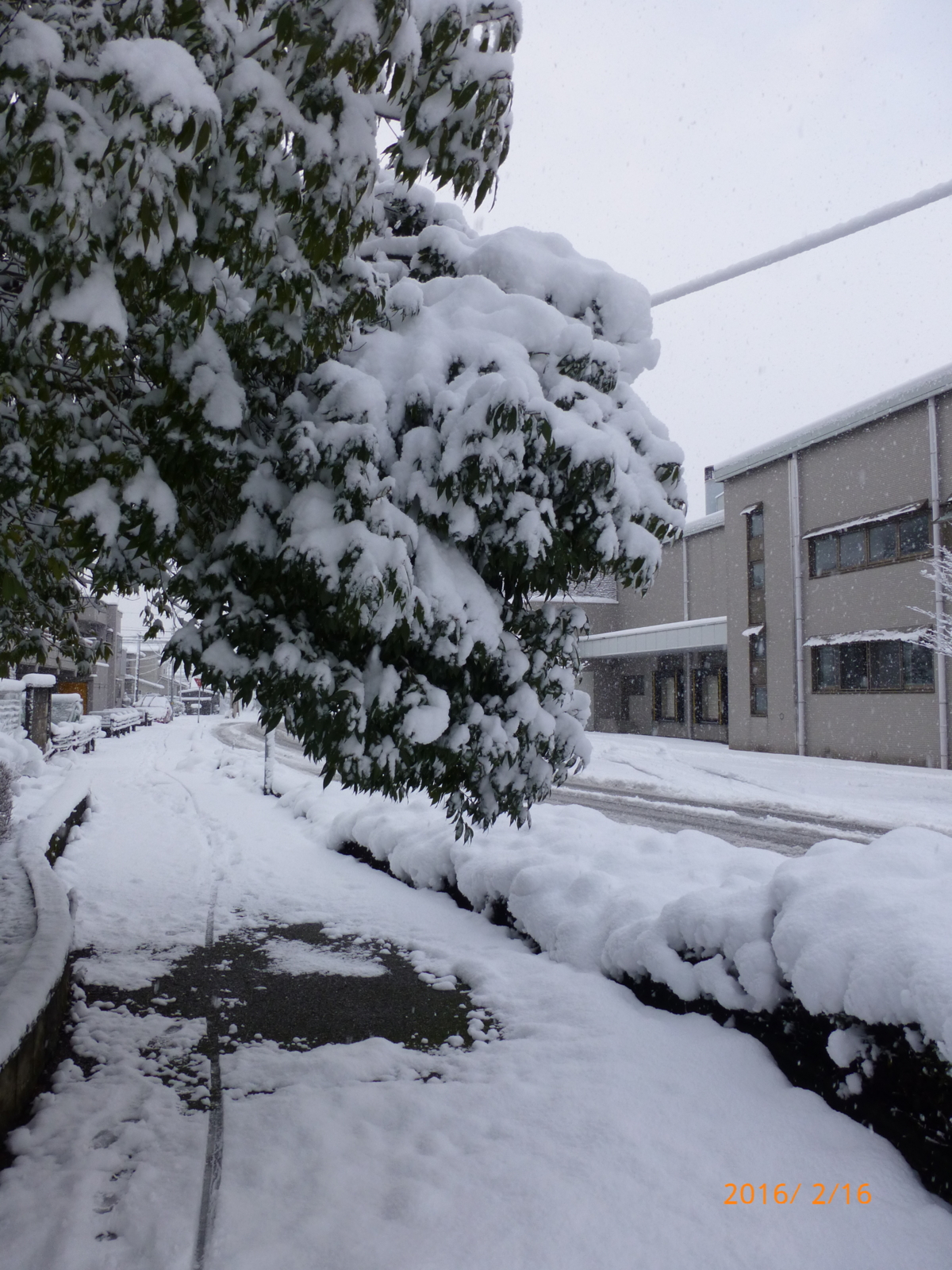 f:id:k10no3:20160216071913j:image:w318