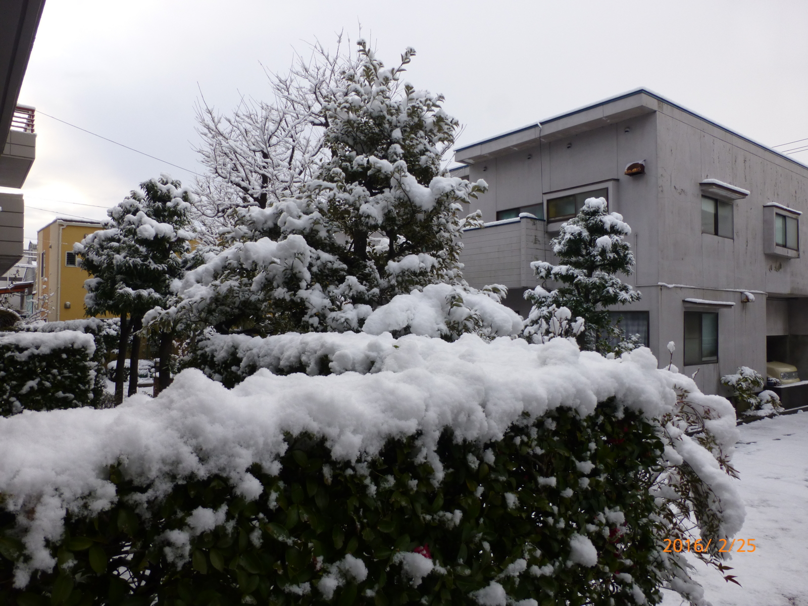 f:id:k10no3:20160225072421j:image:w640