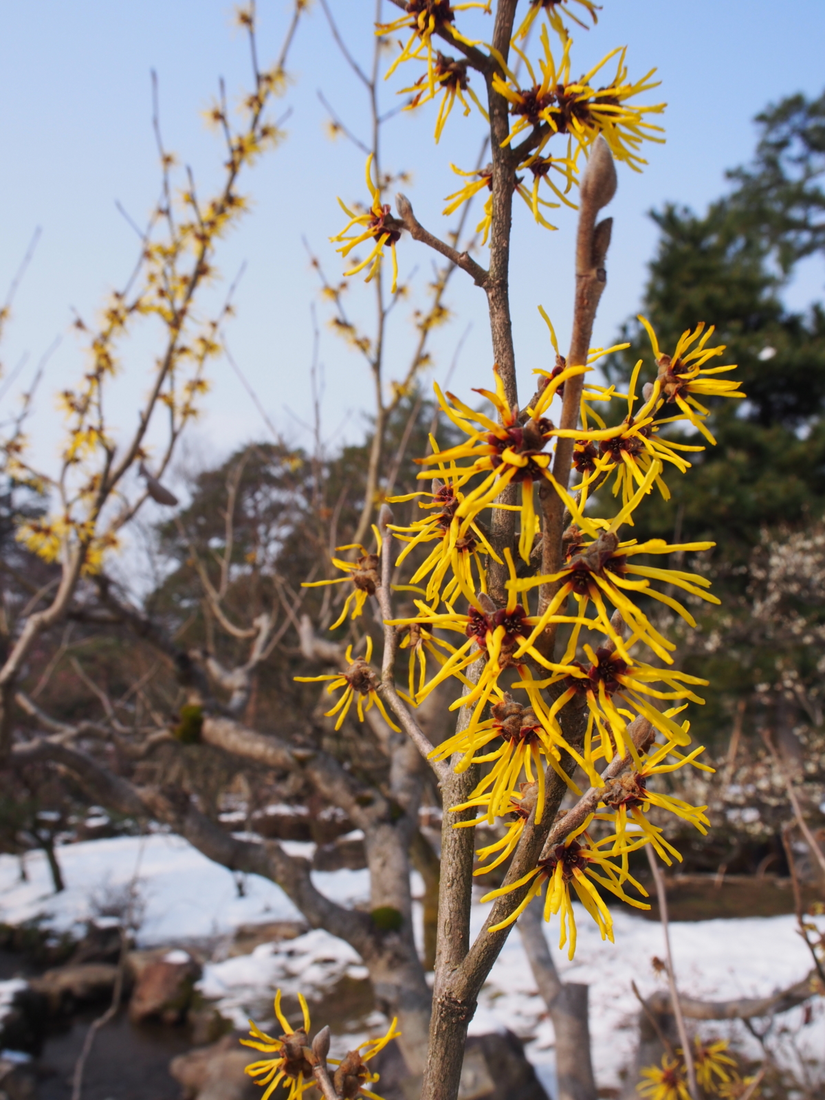 f:id:k10no3:20160227093842j:image:w318