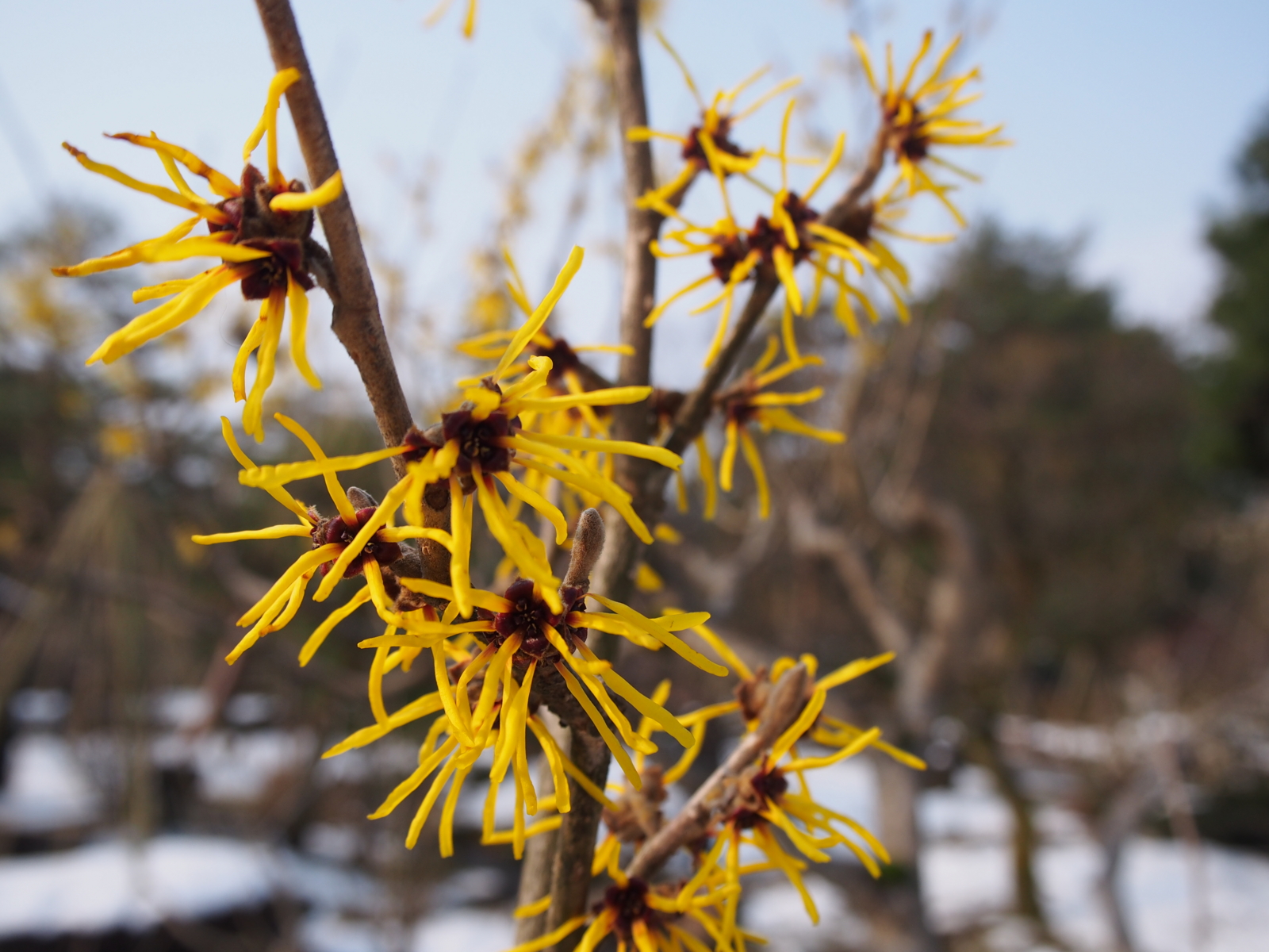 f:id:k10no3:20160227093856j:image:w640