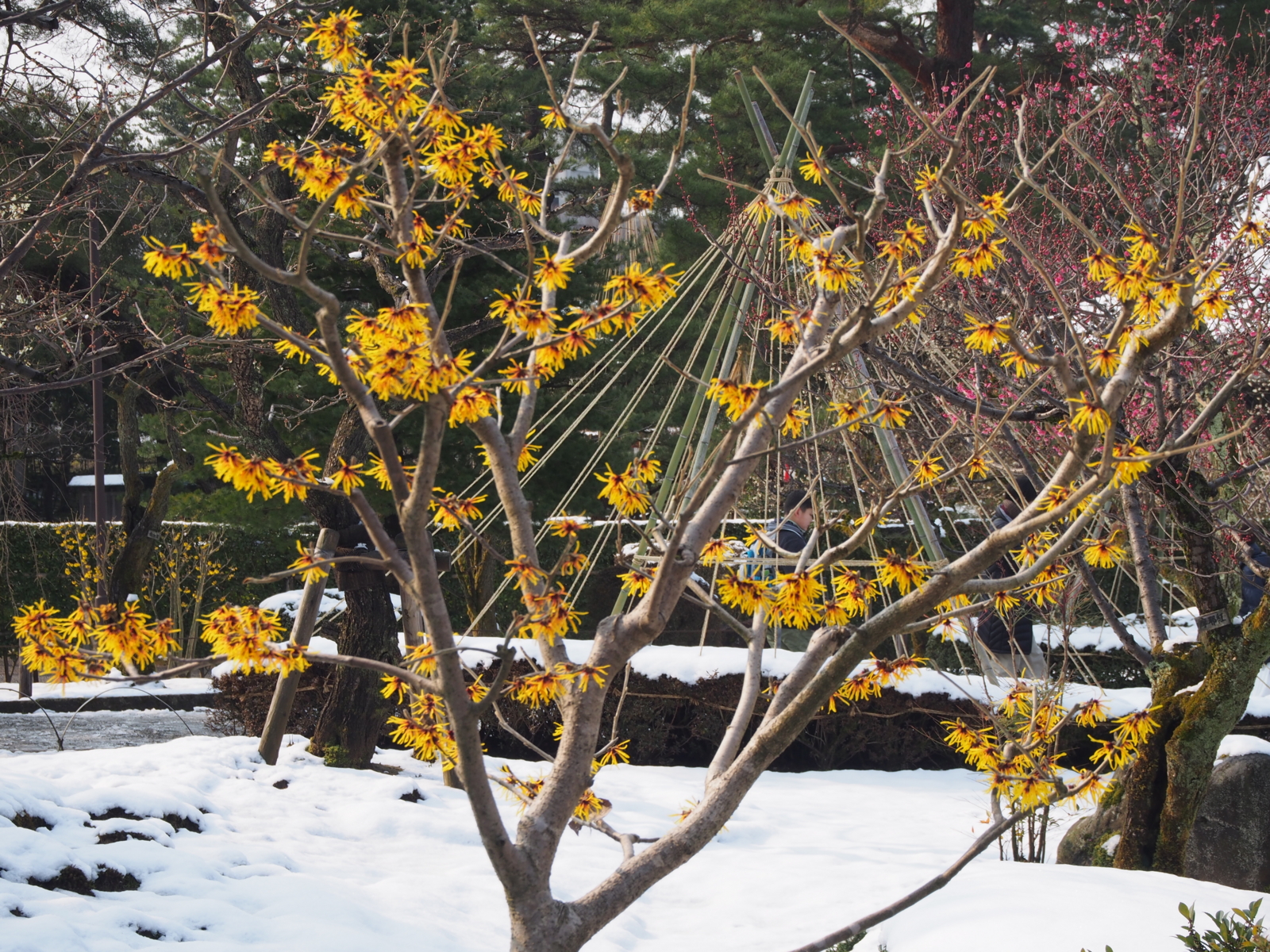 f:id:k10no3:20160227094221j:image:w640