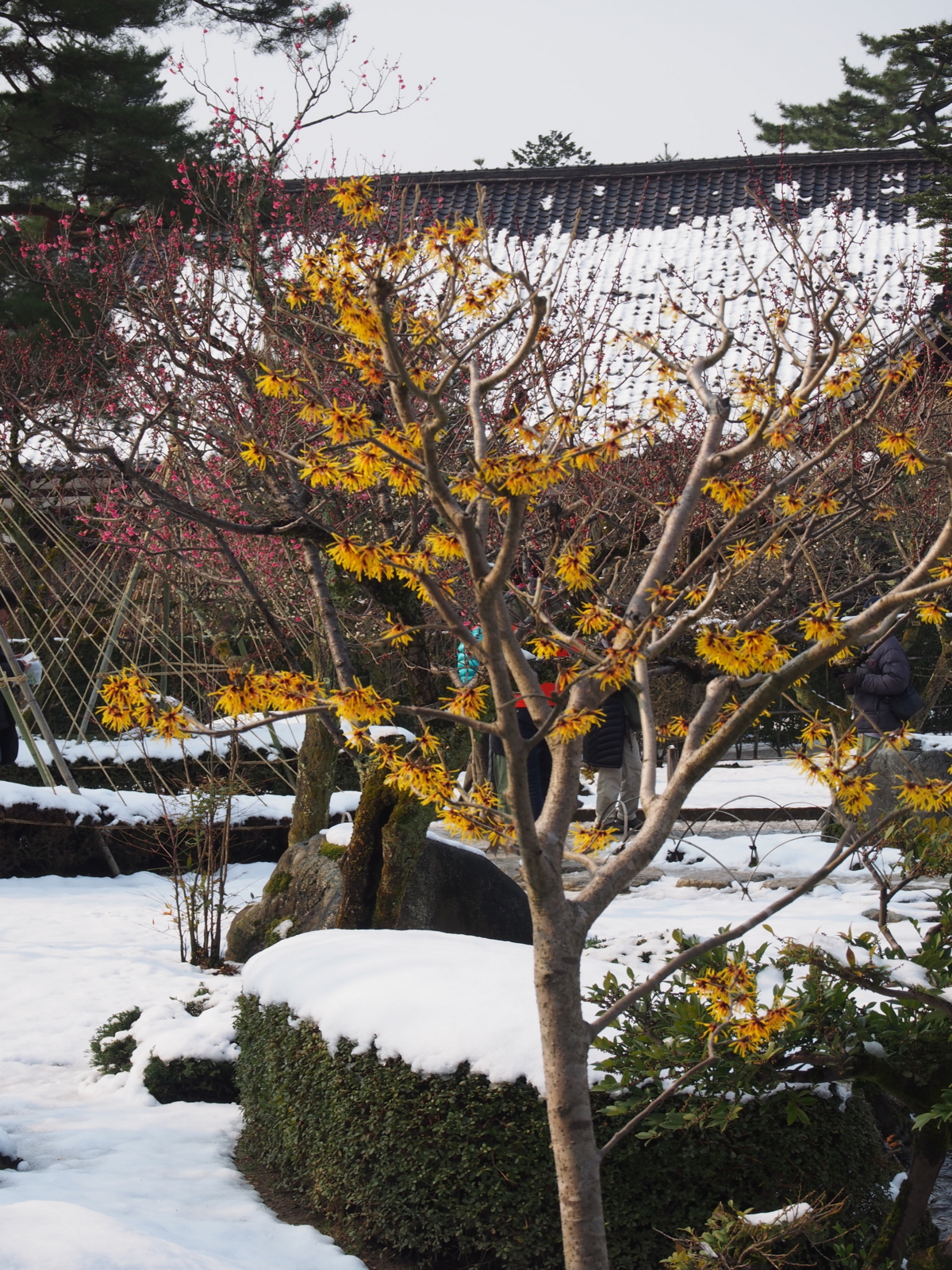 f:id:k10no3:20160227094231j:image:w318