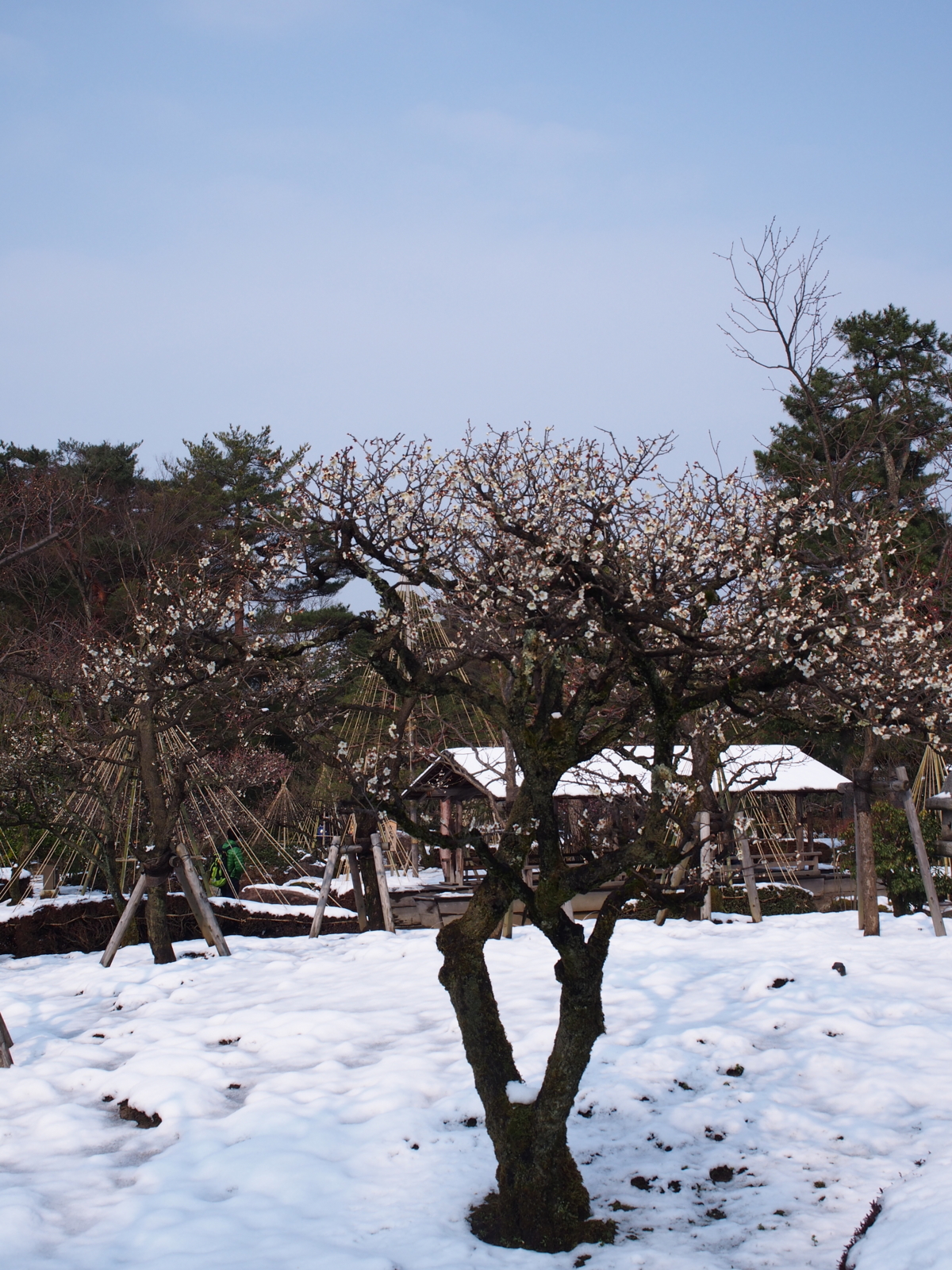 f:id:k10no3:20160227094445j:image:w318