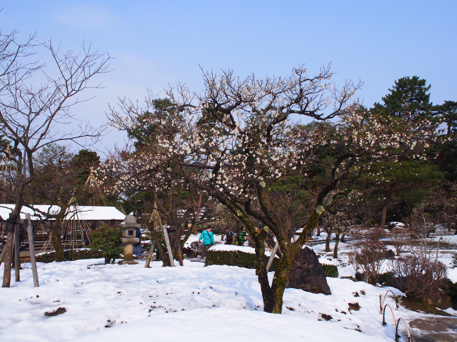 f:id:k10no3:20160227094517j:image:w640