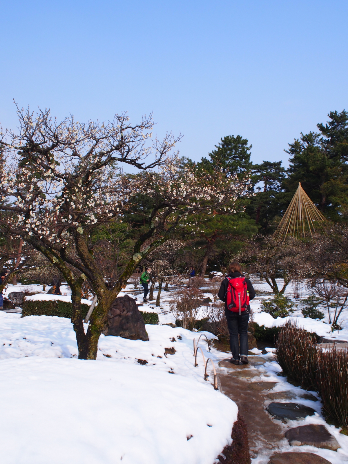 f:id:k10no3:20160227094523j:image:w318