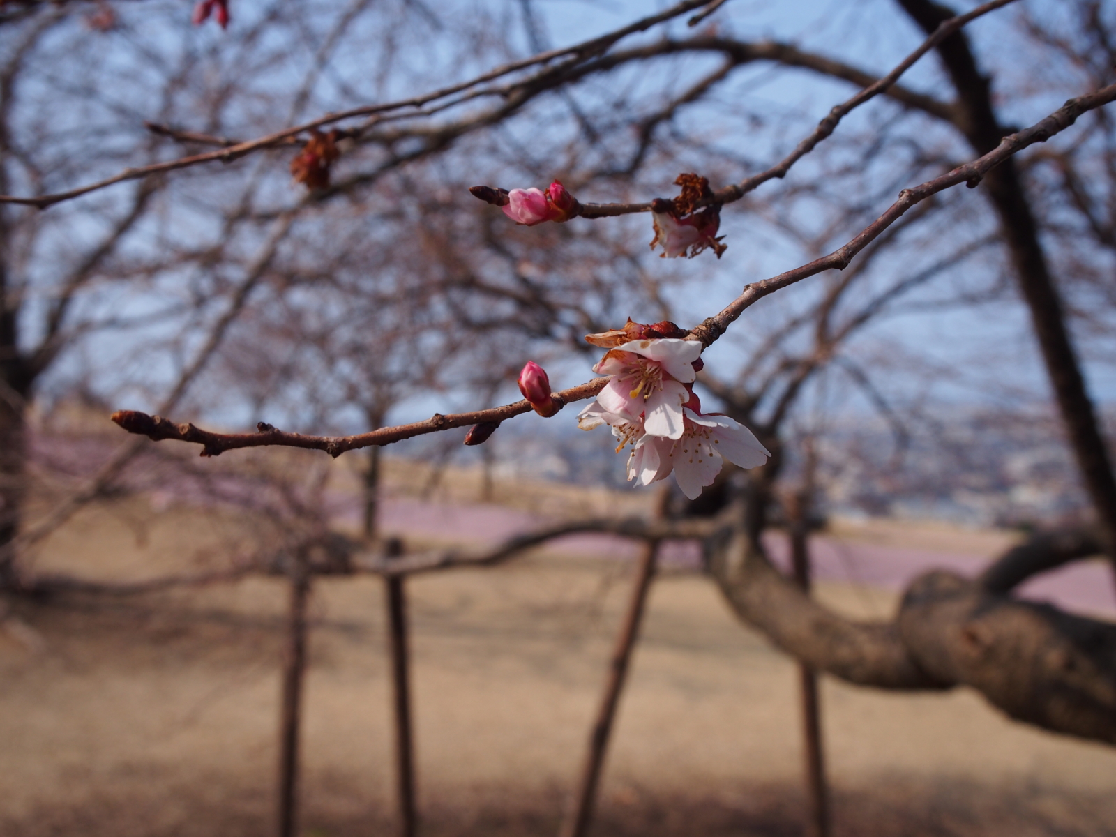 f:id:k10no3:20160228110750j:image:w318 f:id:k10no3:20160228110750j:image:w318