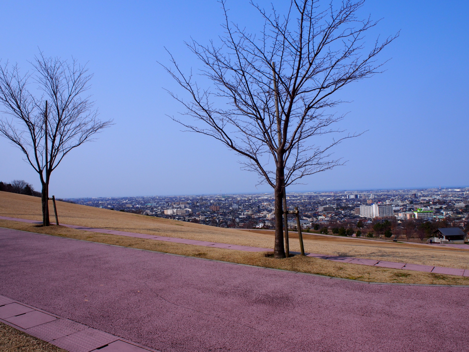 f:id:k10no3:20160228110946j:image:w640 f:id:k10no3:20160228110946j:image:w640