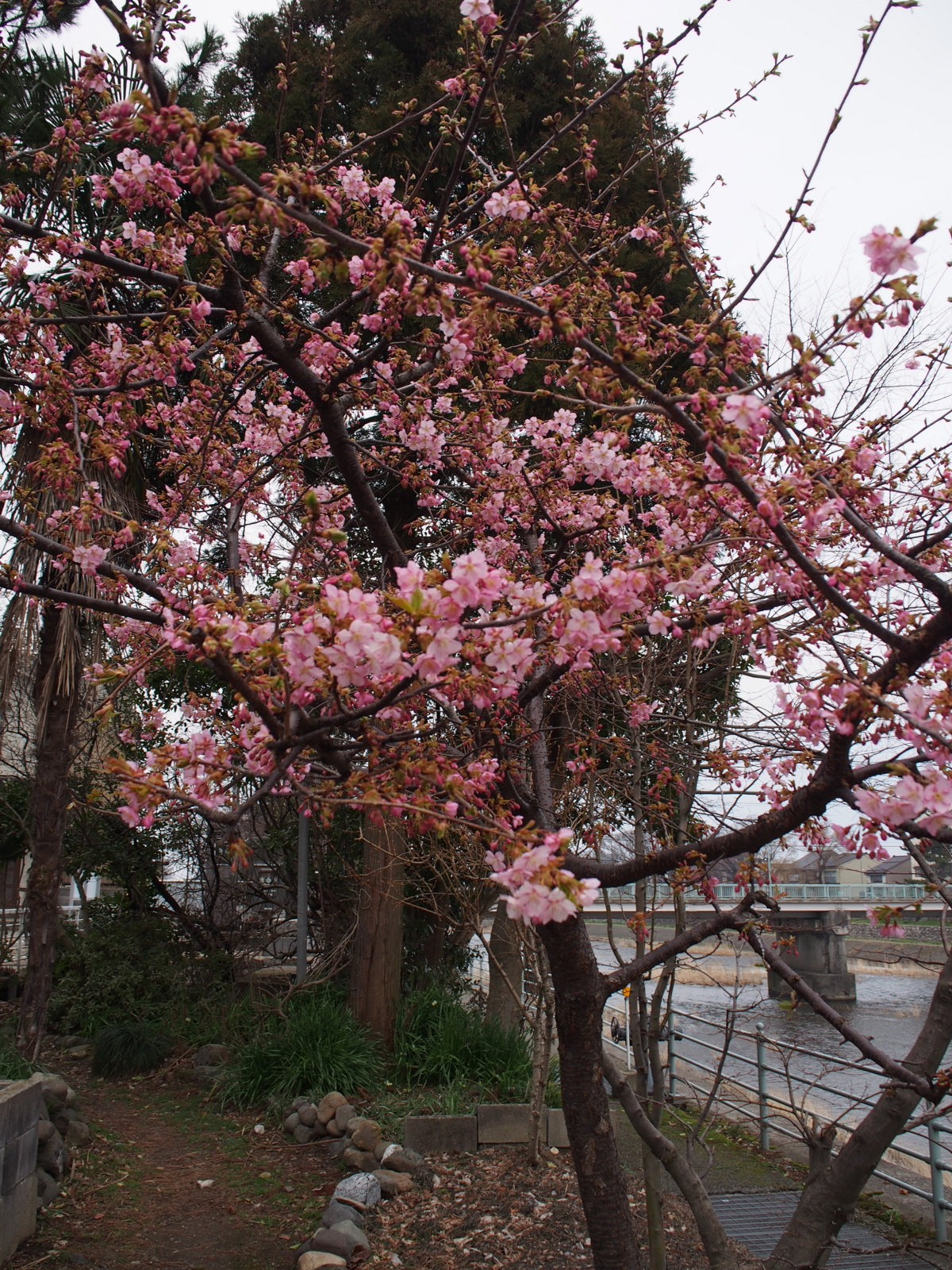 f:id:k10no3:20160305072625j:image:w318 f:id:k10no3:20160305072625j:image:w318