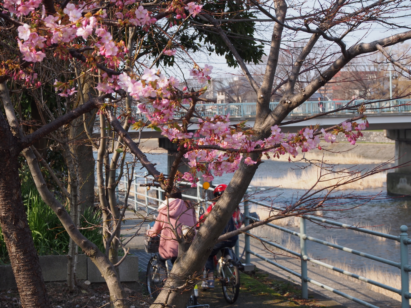 f:id:k10no3:20160305143145j:image:w640