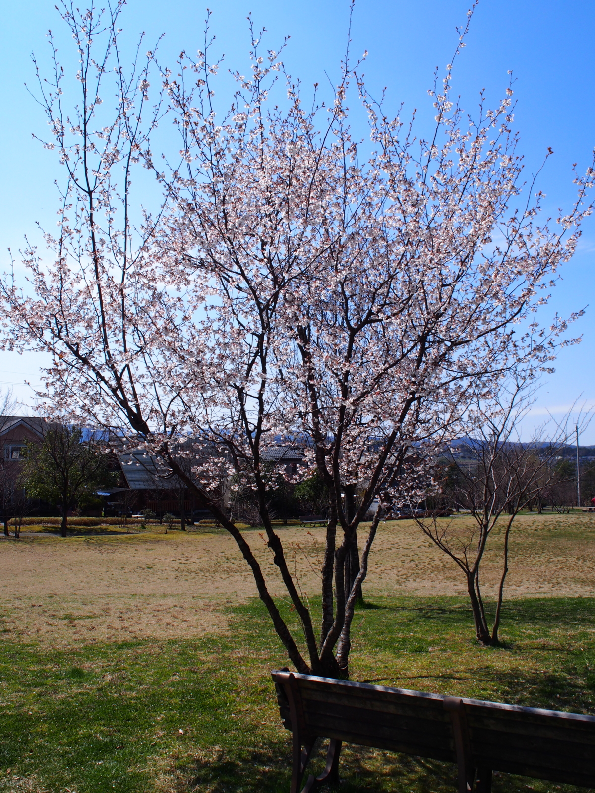 f:id:k10no3:20160327112213j:image:w420