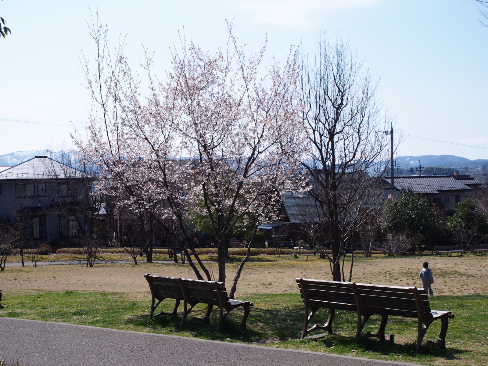 f:id:k10no3:20160327112241j:image:w640