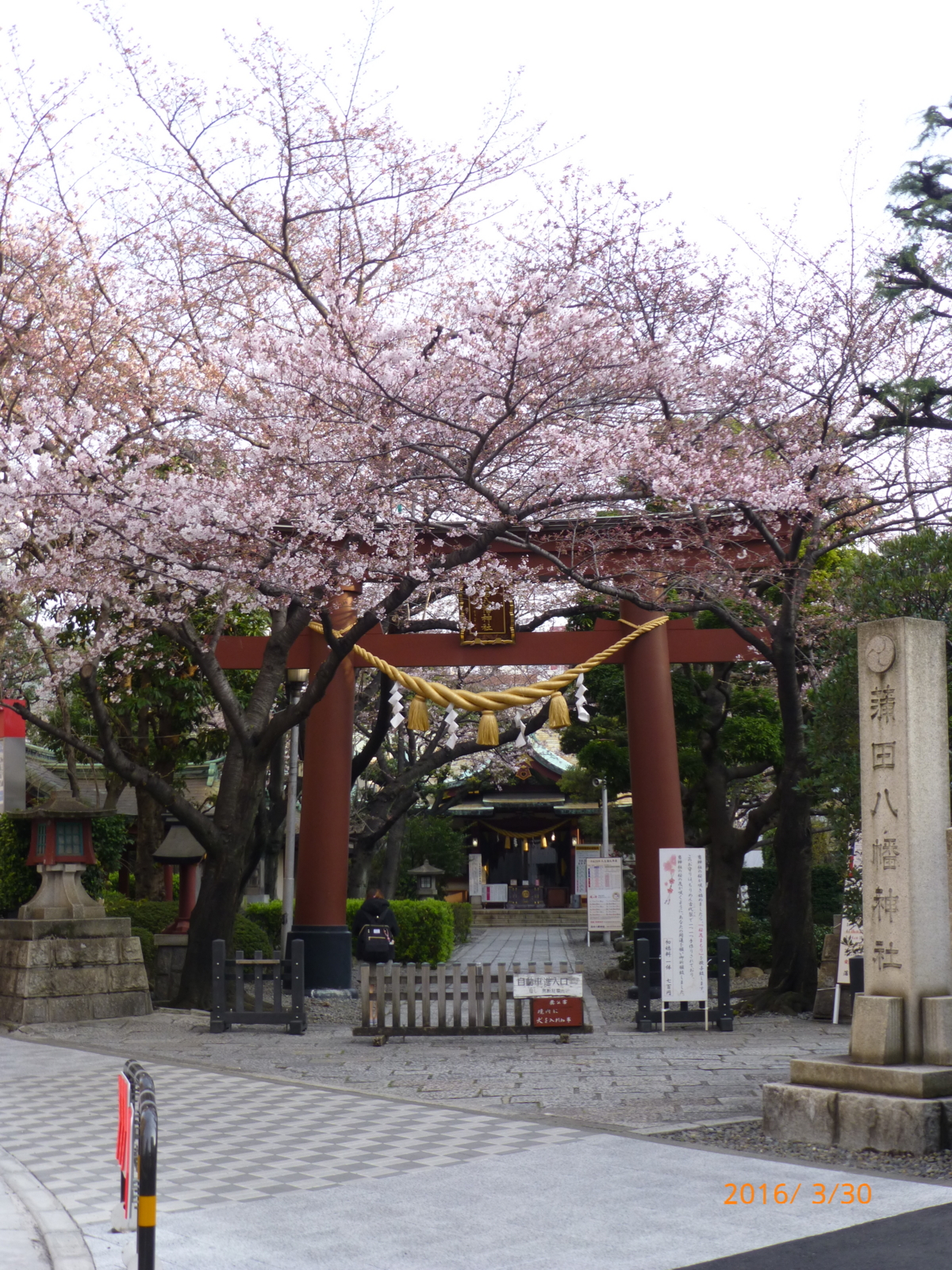 f:id:k10no3:20160330064744j:image:w318