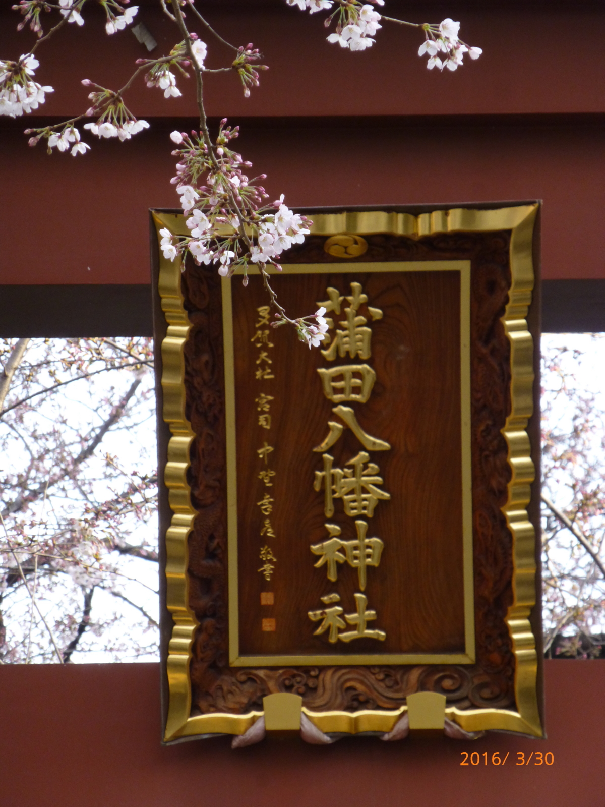 f:id:k10no3:20160330064838j:image:w318