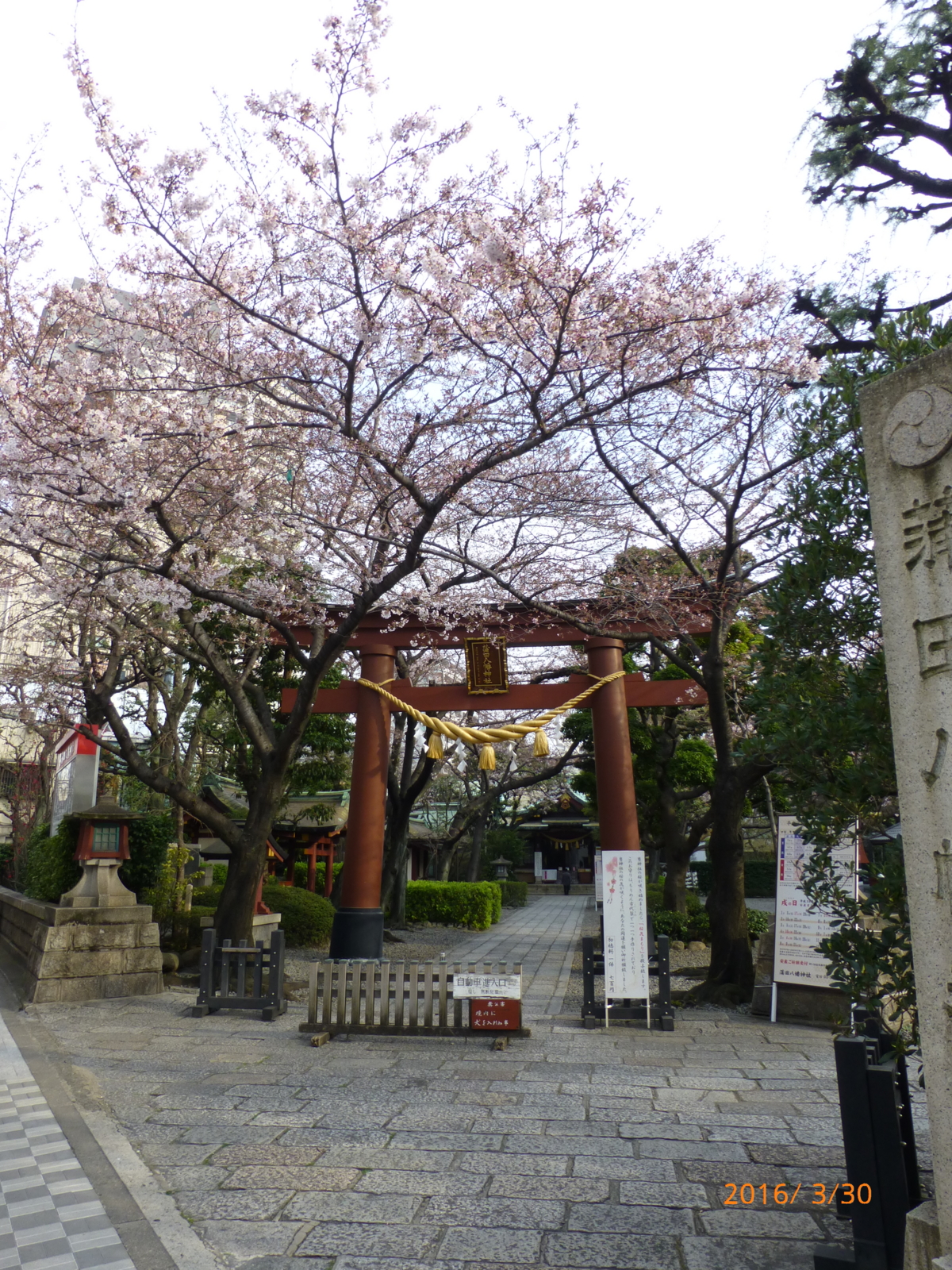 f:id:k10no3:20160330072254j:image:w318