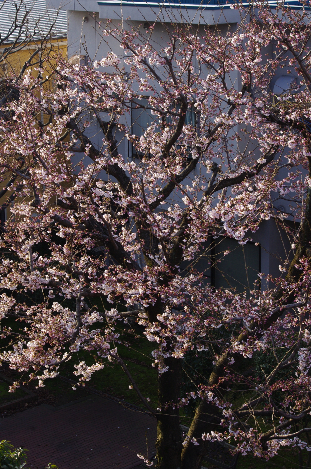 f:id:k10no3:20160331072107j:image:w318