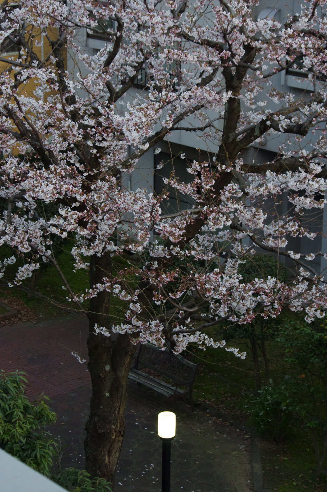 f:id:k10no3:20160331182619j:image:w318