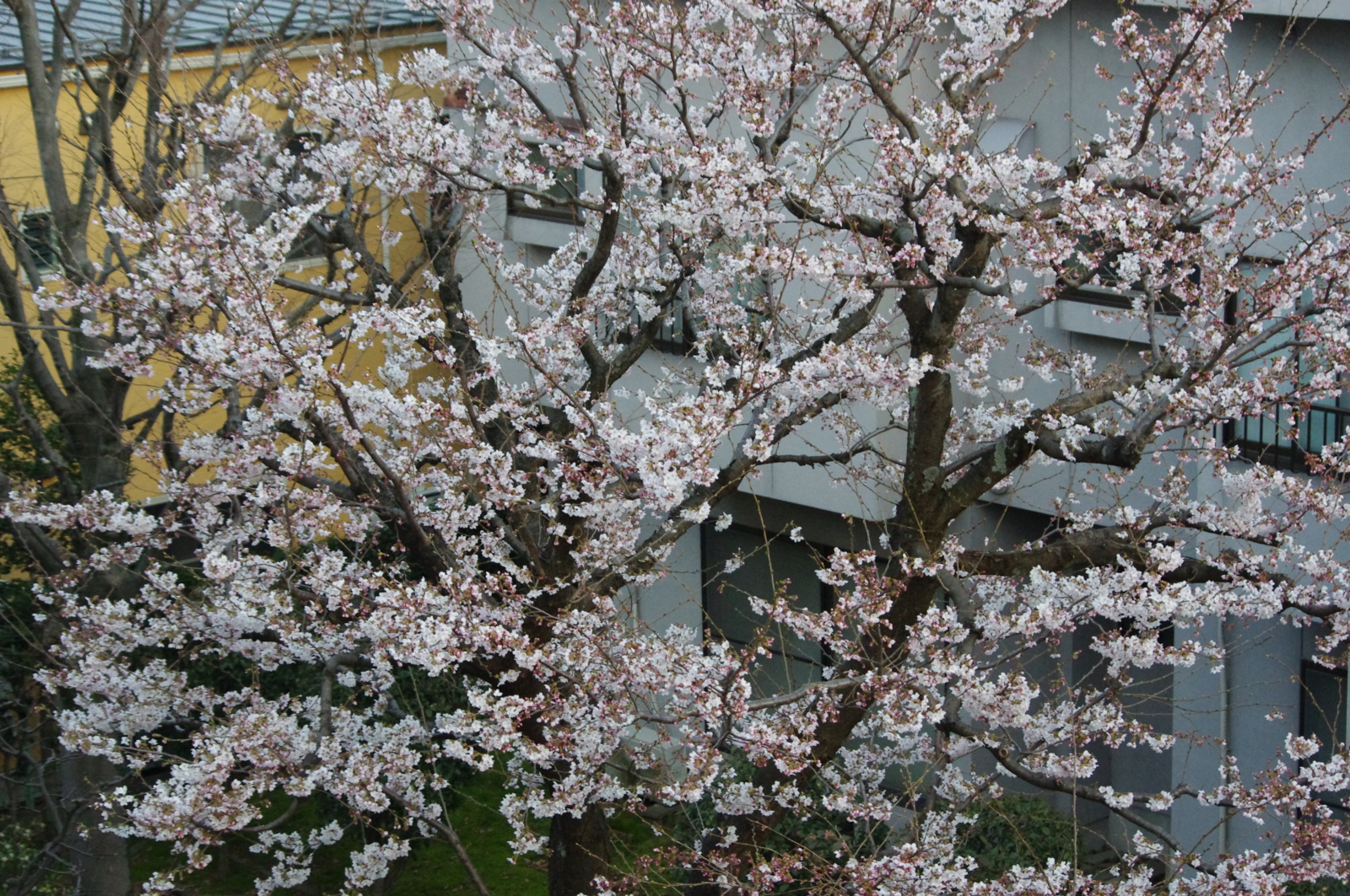 f:id:k10no3:20160331182624j:image:w640