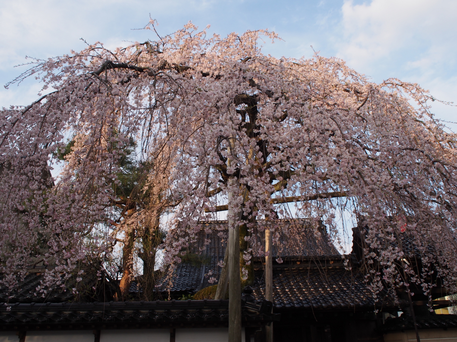 f:id:k10no3:20160403064222j:image:w640