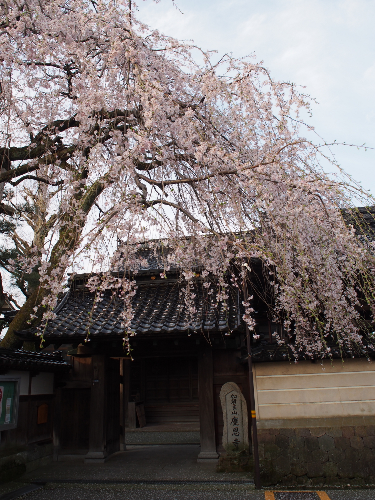 f:id:k10no3:20160403064333j:image:w318