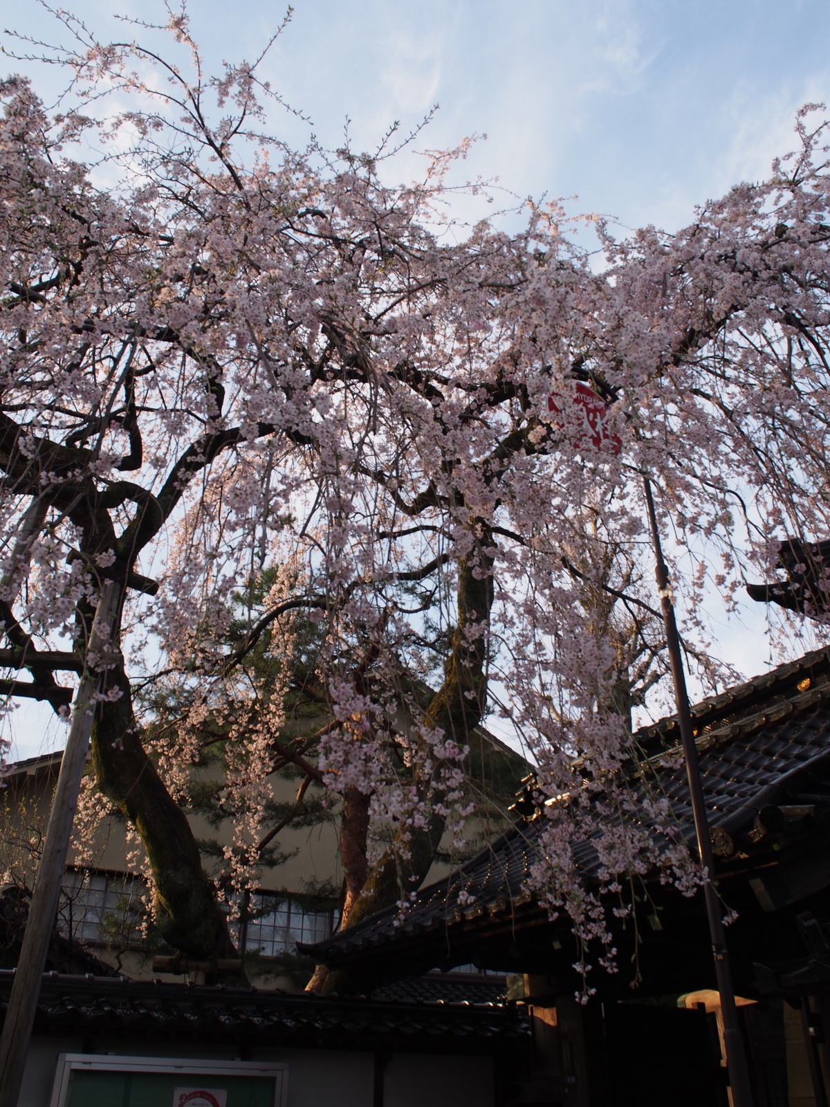 f:id:k10no3:20160403064458j:image:w318