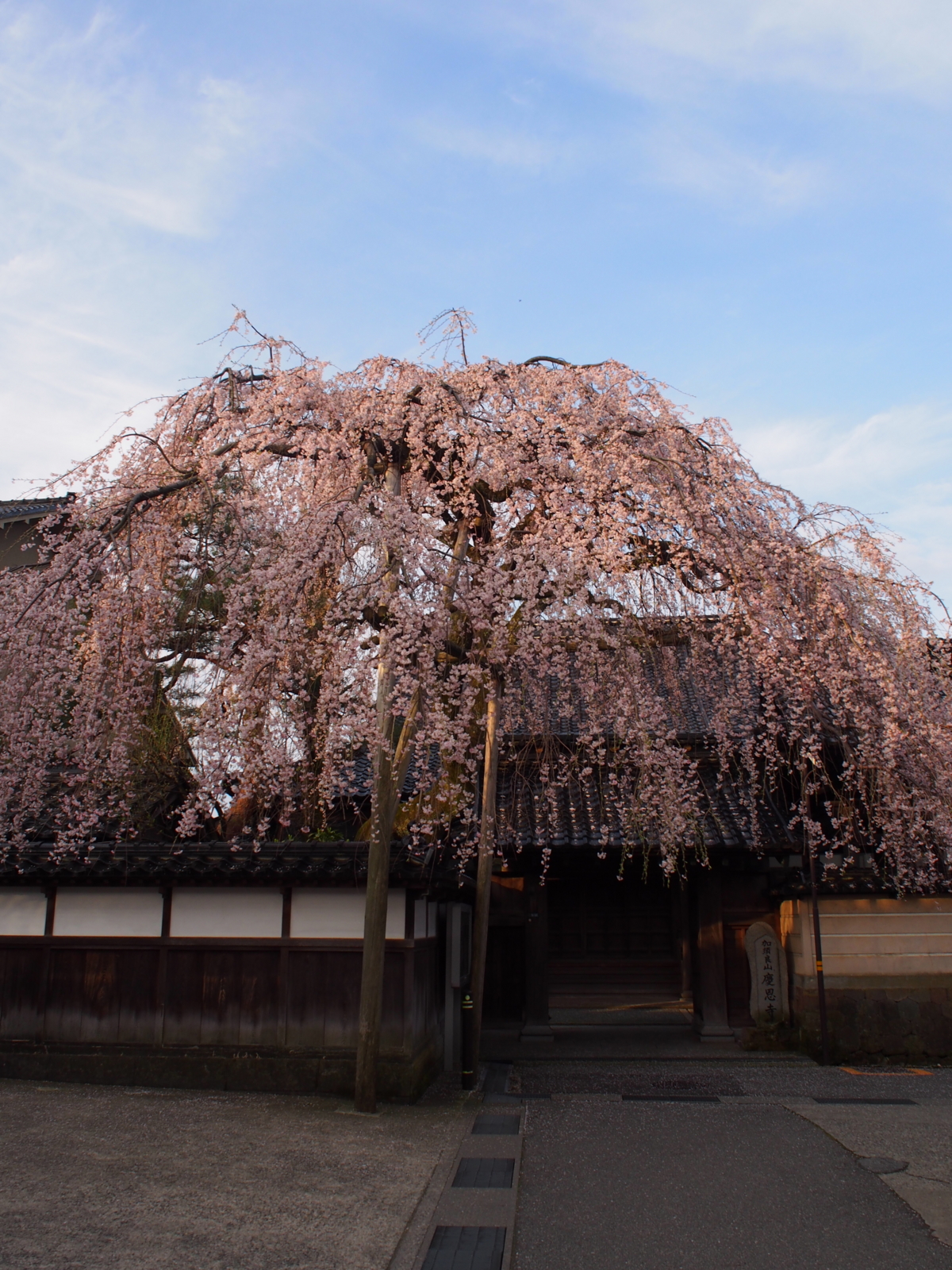 f:id:k10no3:20160403064840j:image:w318