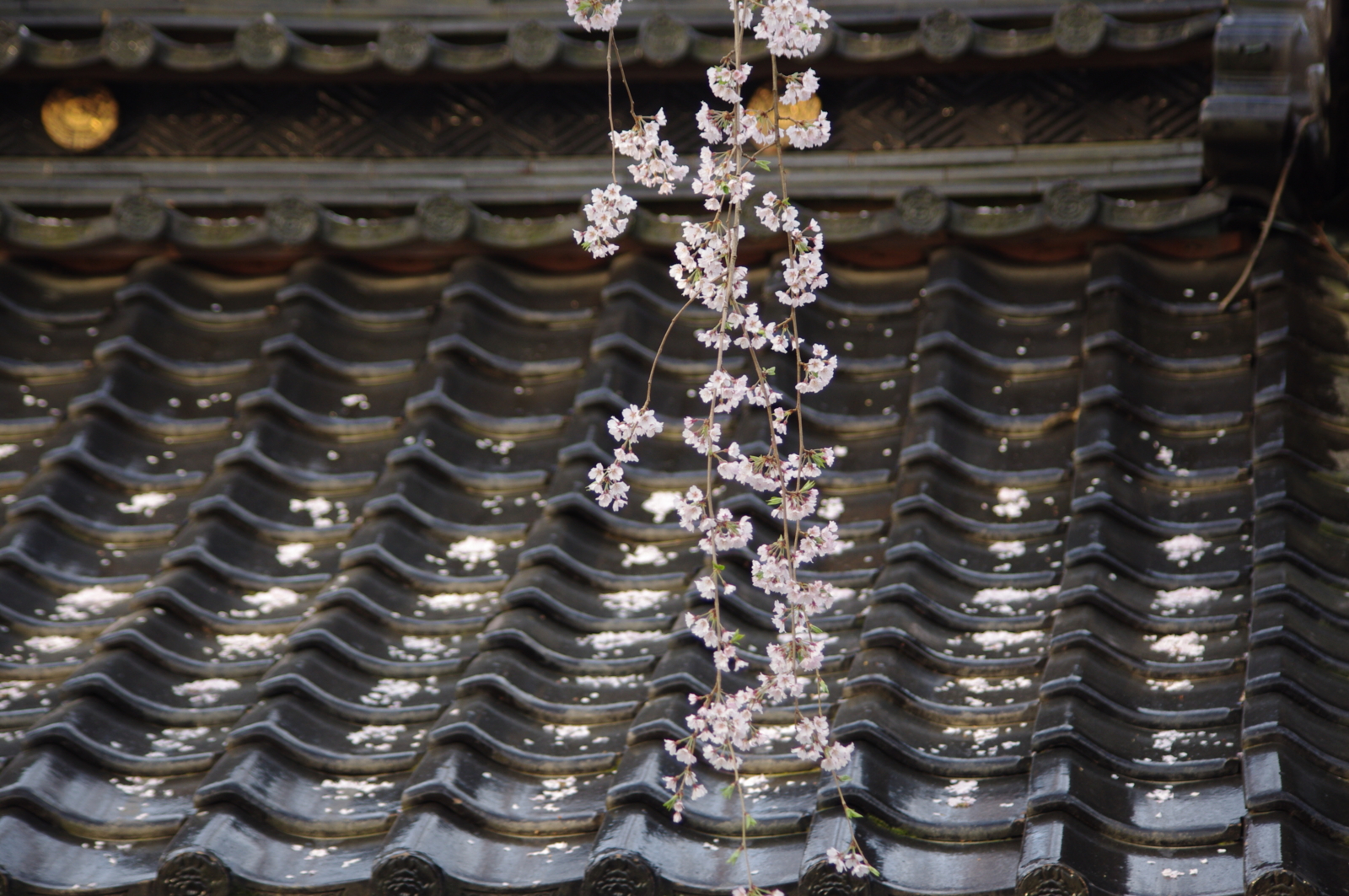 f:id:k10no3:20160403070200j:image:w640