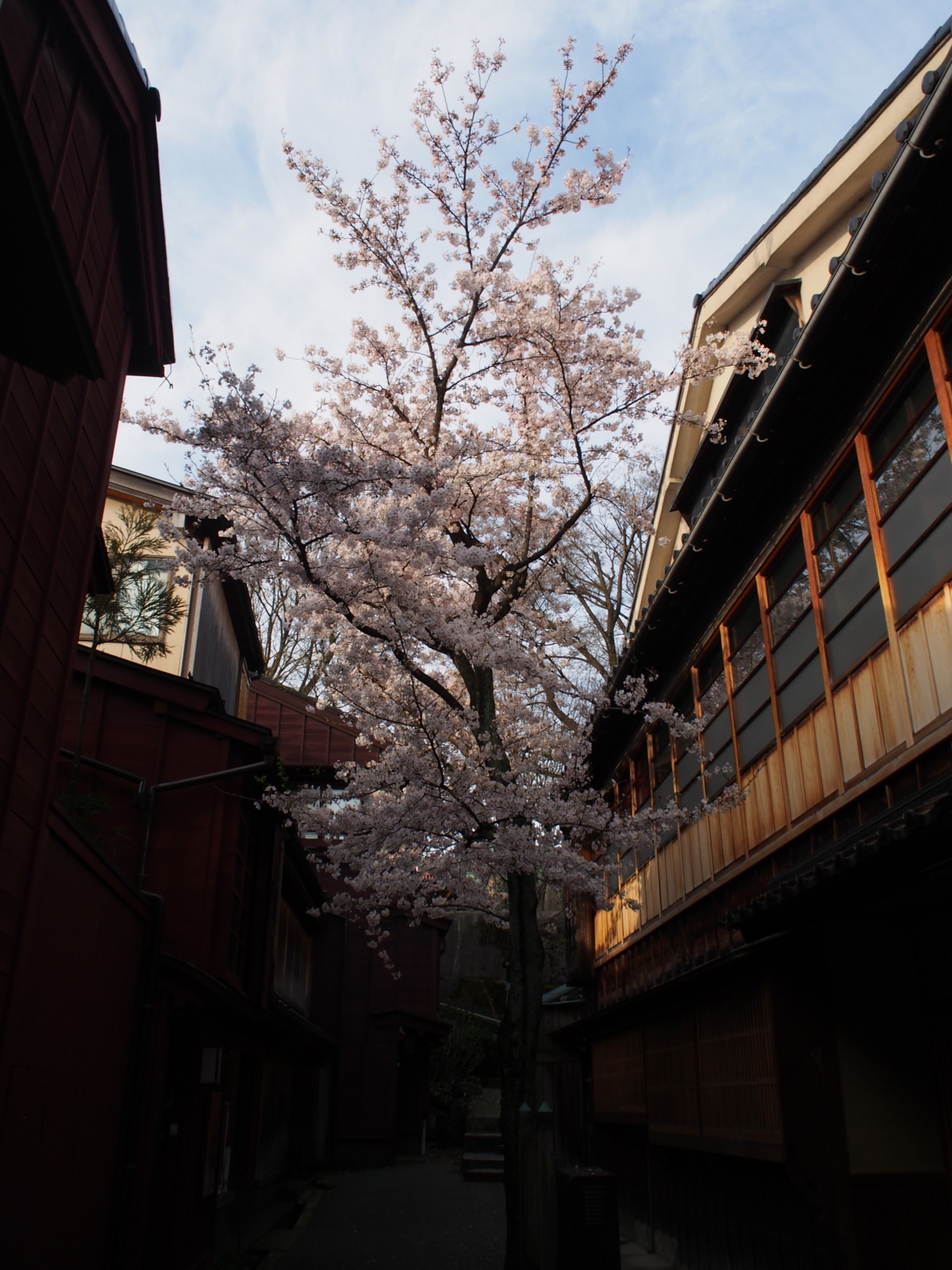 f:id:k10no3:20160403070447j:image:w318
