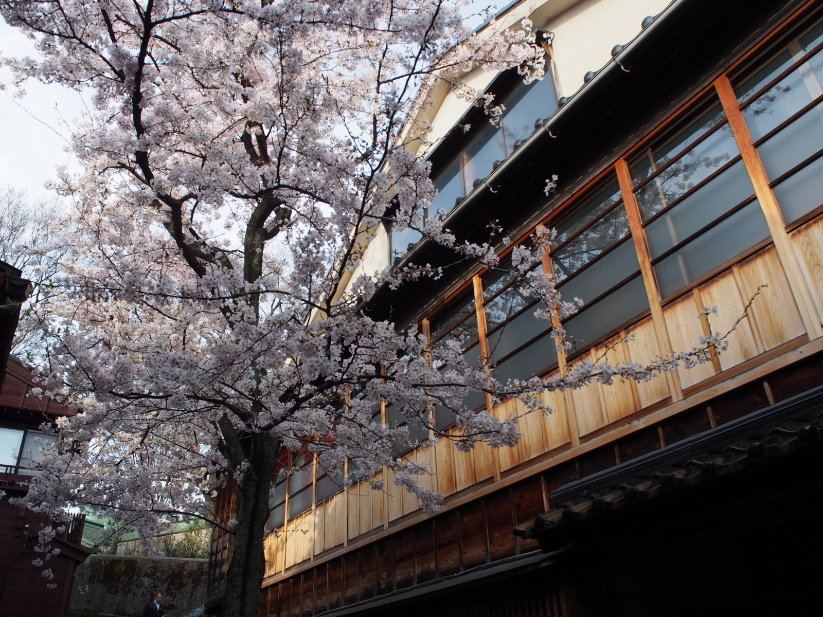 f:id:k10no3:20160403070501j:image:w640