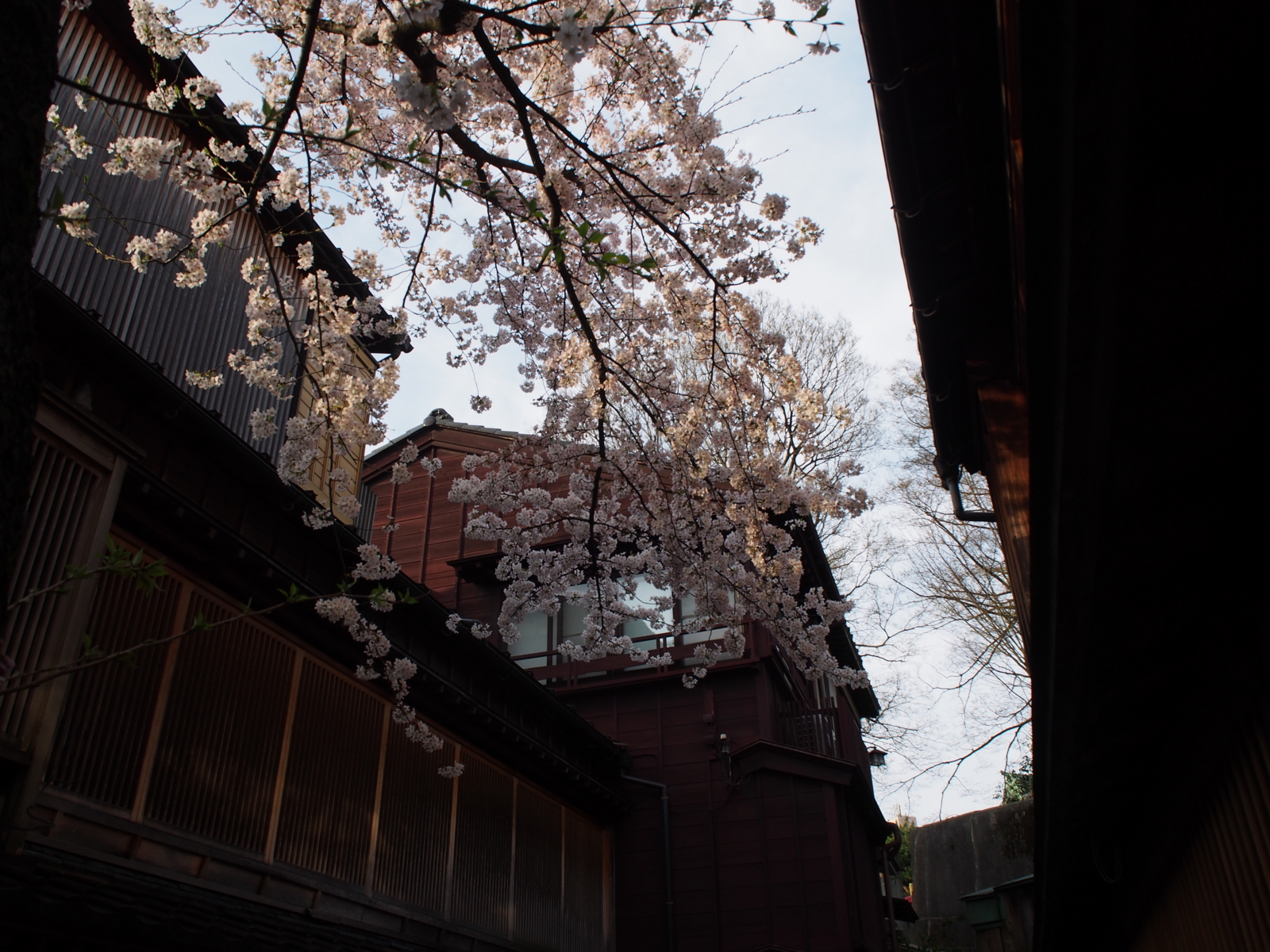 f:id:k10no3:20160403070519j:image:w640