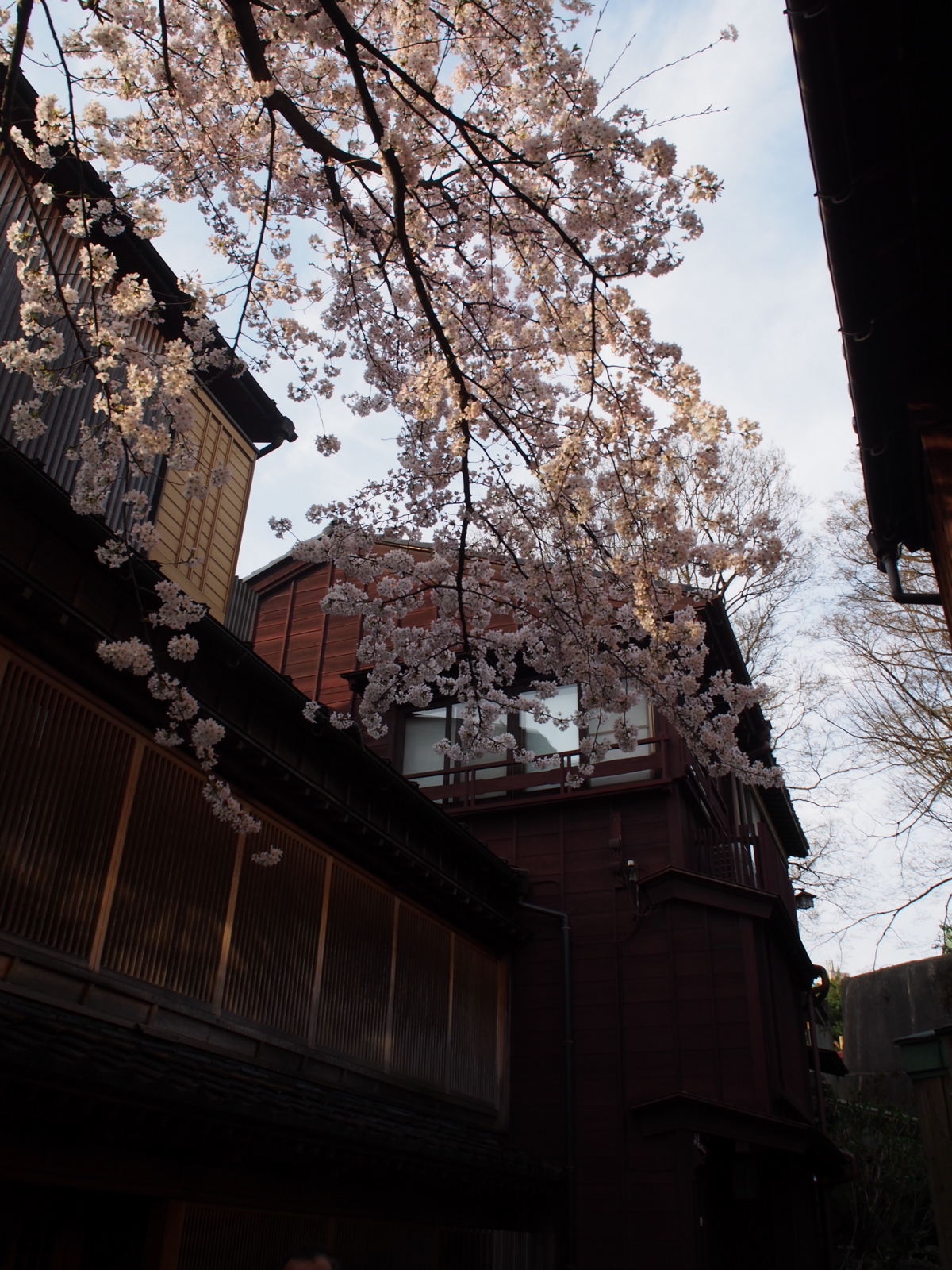 f:id:k10no3:20160403070528j:image:w318