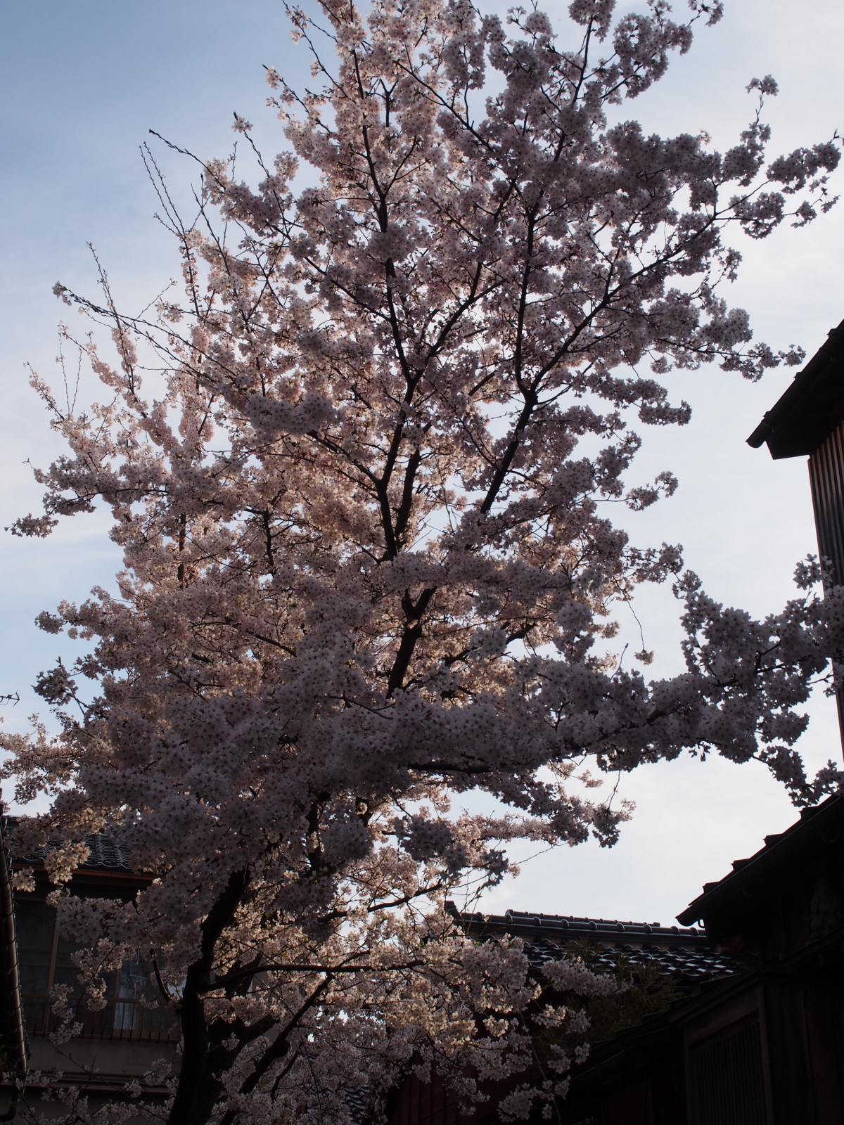 f:id:k10no3:20160403070557j:image:w318