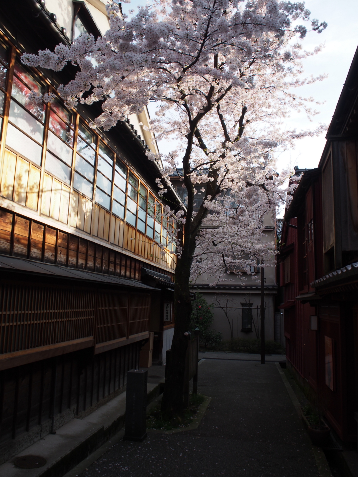 f:id:k10no3:20160403071039j:image:w318